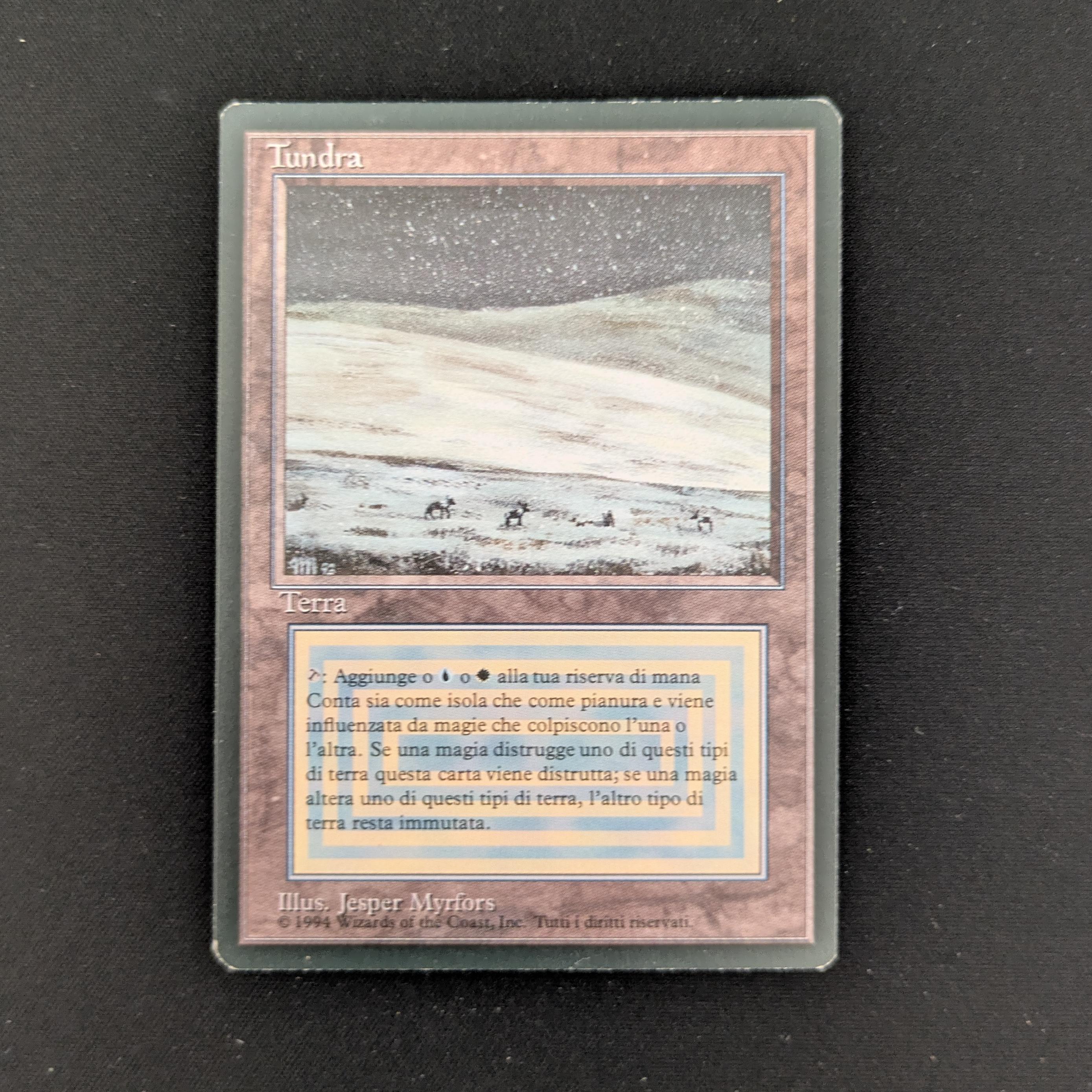 MTG Singles - Tundra - Foreign Black Bordered - Italian - EX - 25974