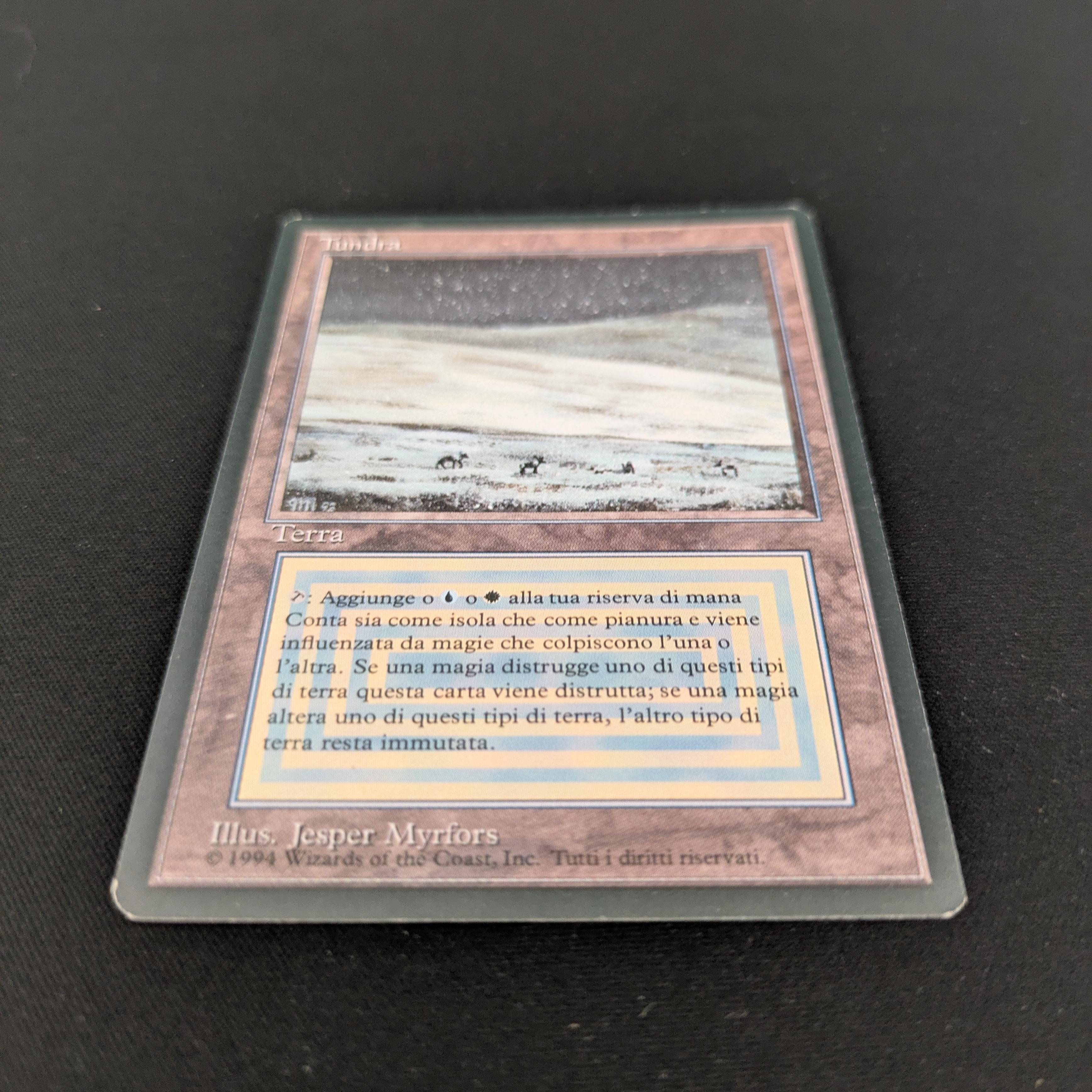 MTG Singles - Tundra - Foreign Black Bordered -