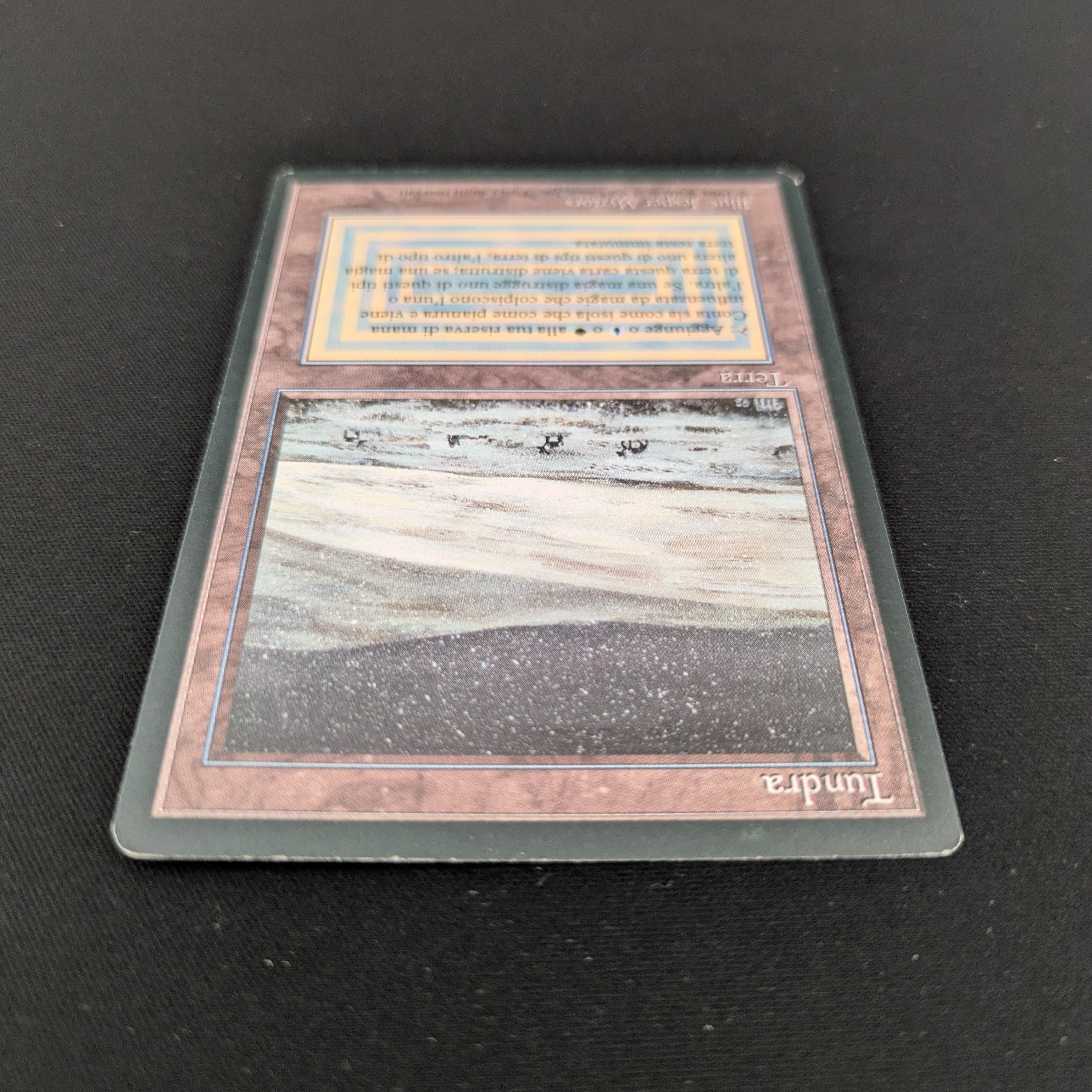 MTG Singles - Tundra - Foreign Black Bordered -