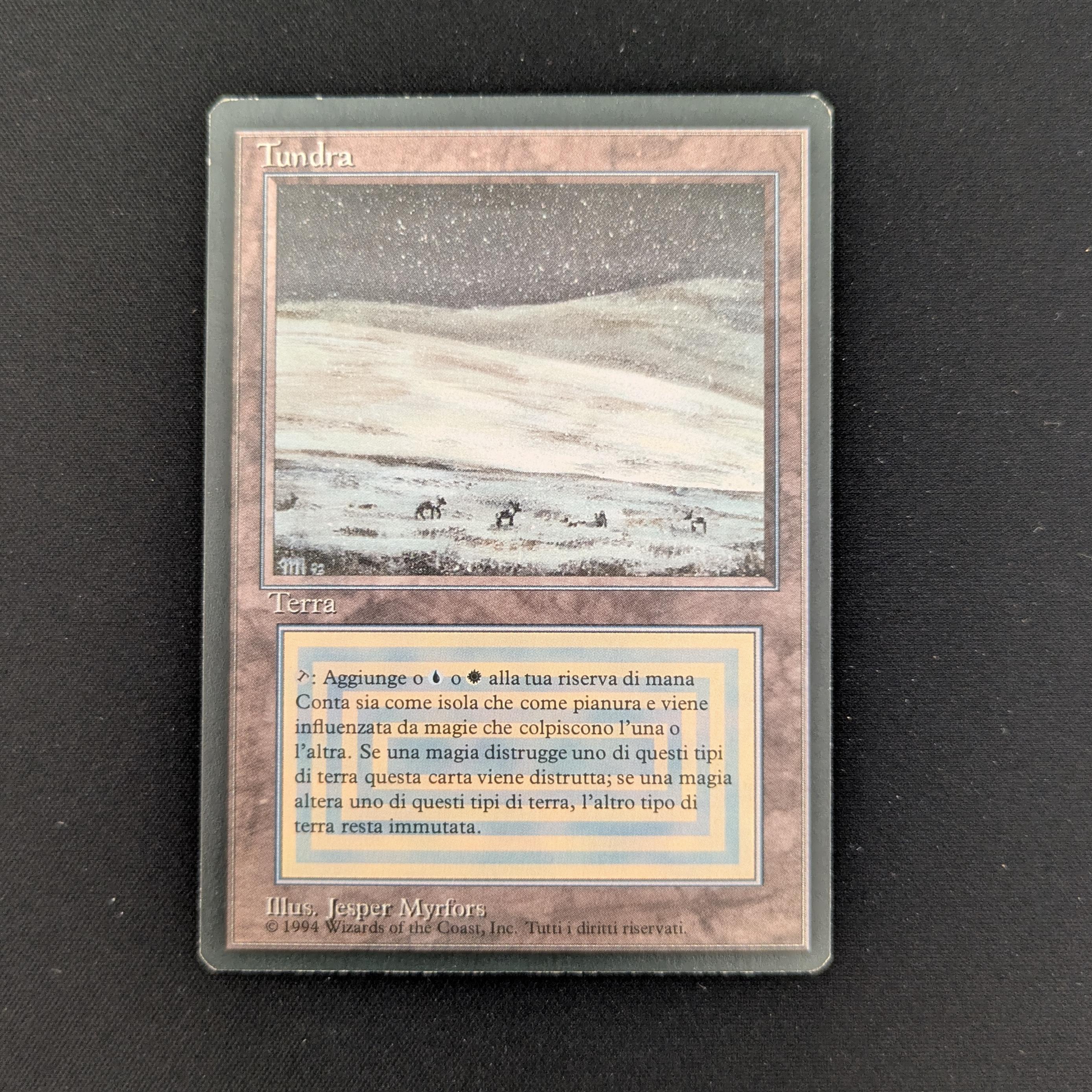 MTG Singles - Tundra - Foreign Black Bordered - Italian - GD - 25975