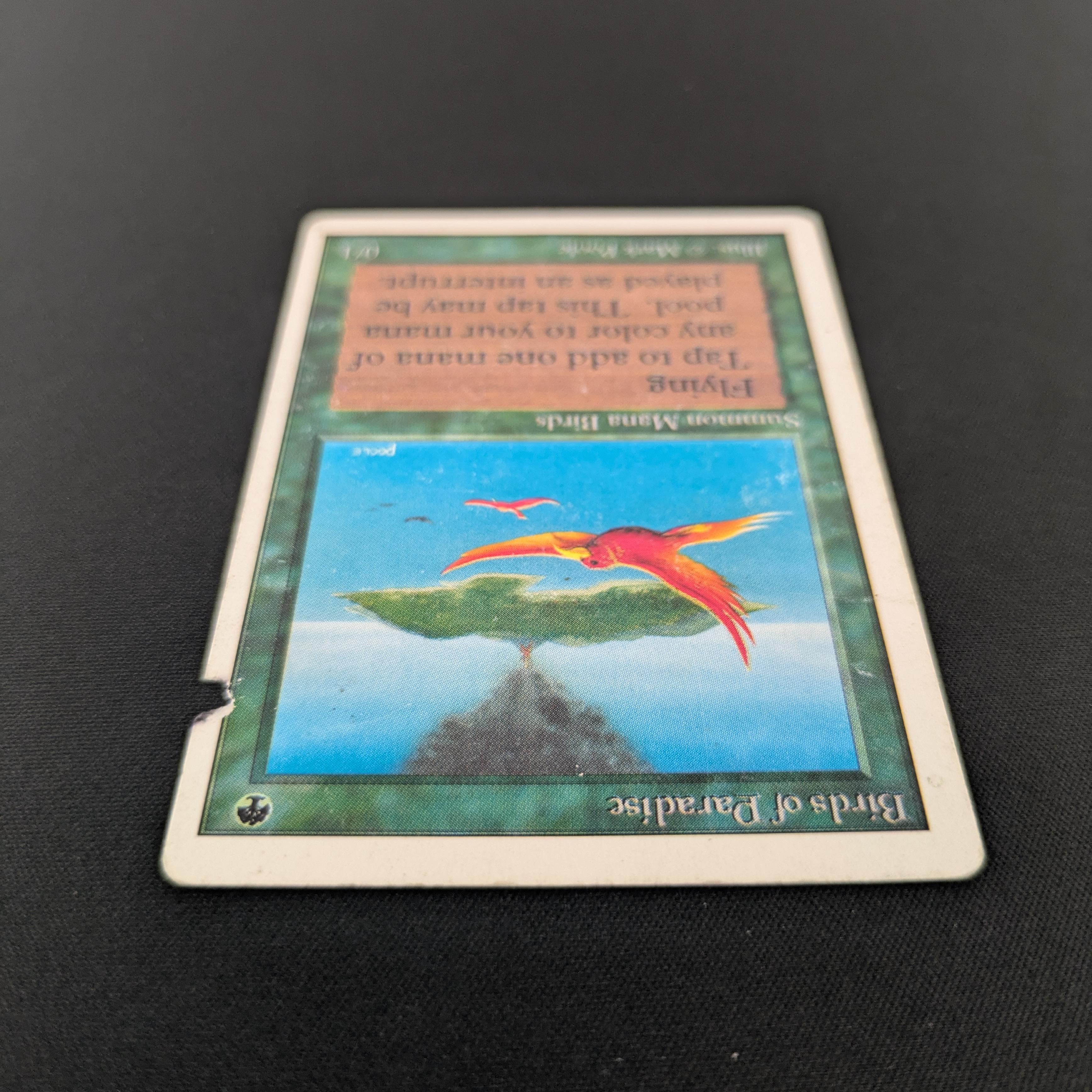 MTG Singles - Birds of Paradise - Unlimited -