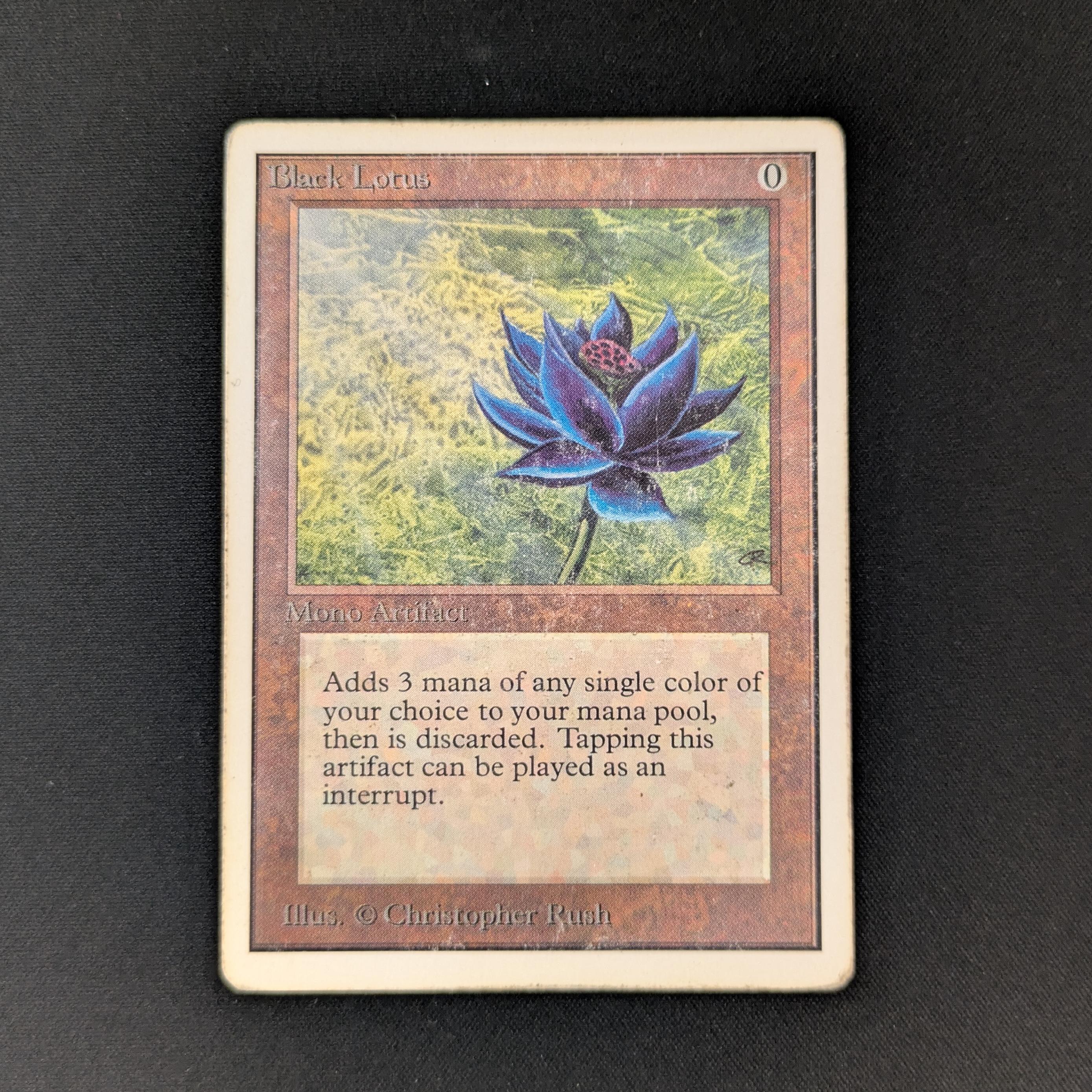 MTG Singles - Black Lotus - Unlimited - PL - 26204