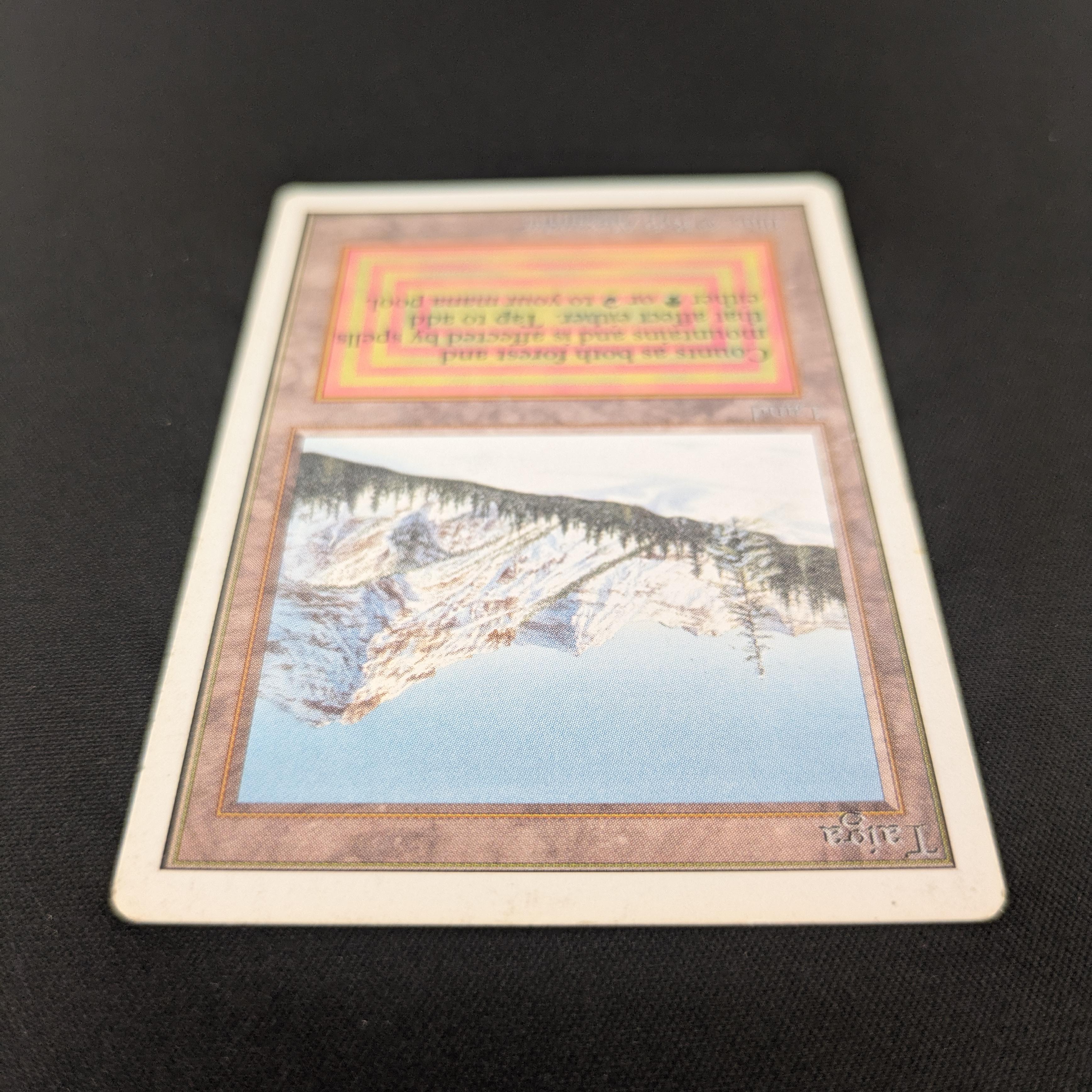 MTG Singles - Taiga - Unlimited -