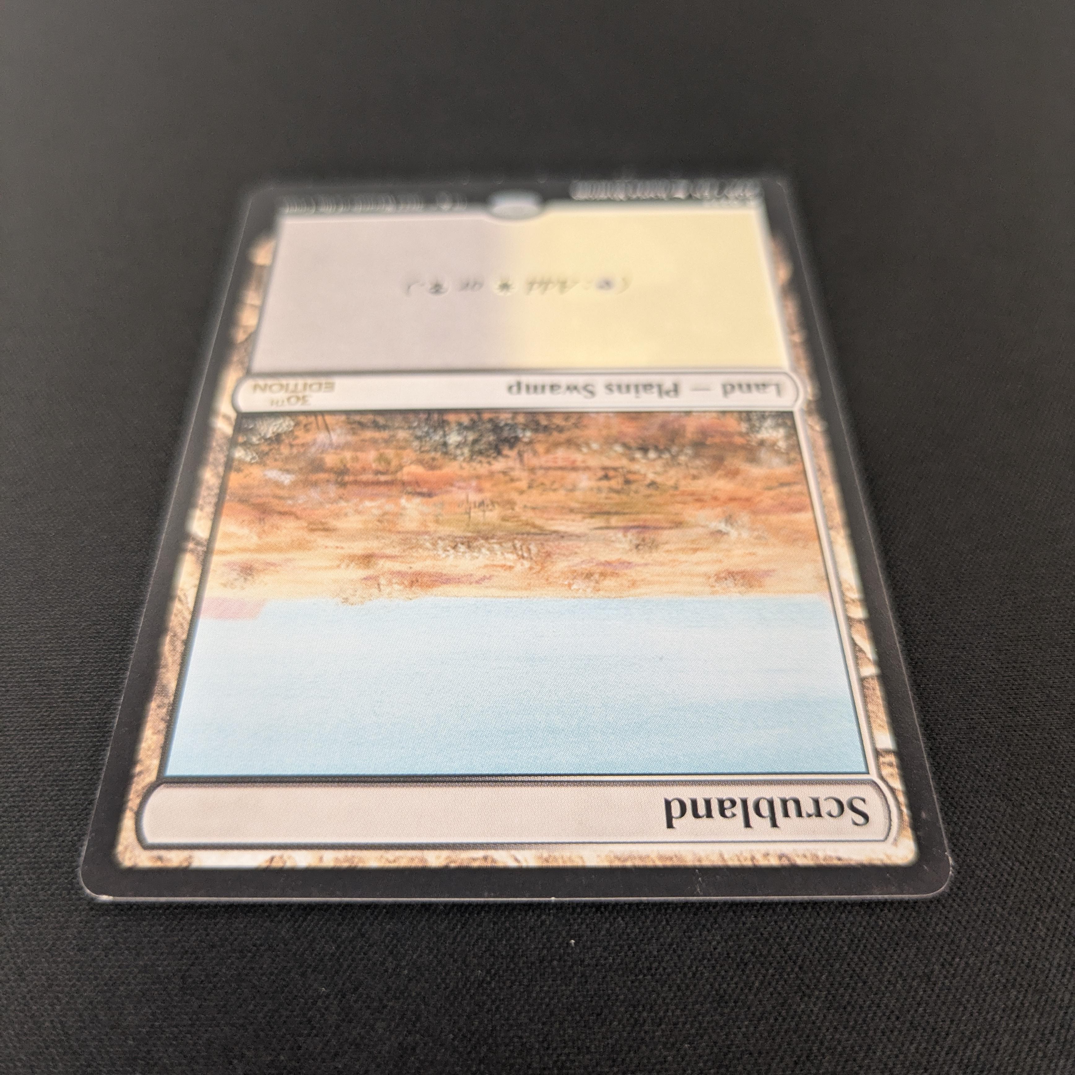 MTG Singles - Scrubland (Modern Frame) - 30th Anniversary Edition -