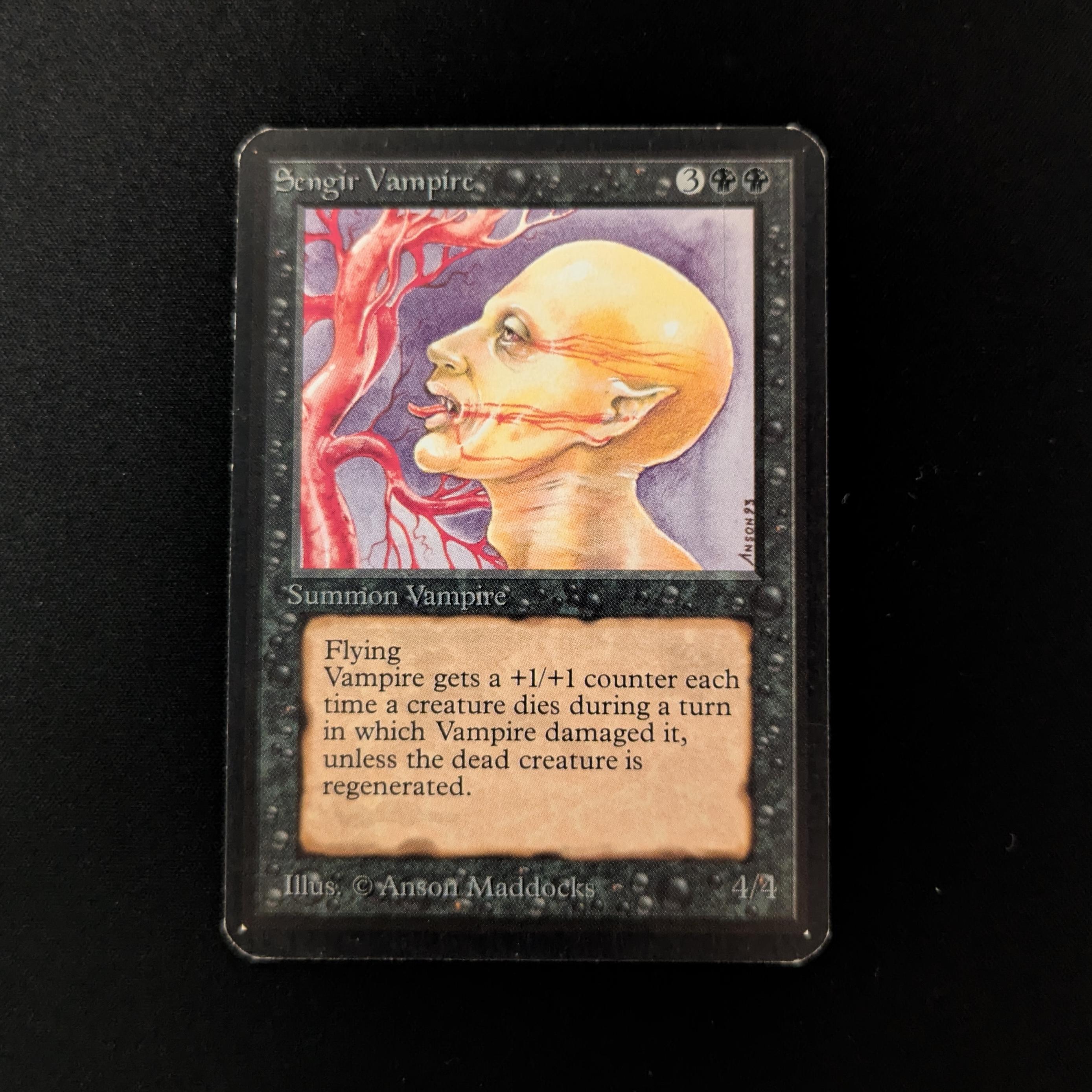 MTG Singles - Sengir Vampire - Alpha - EX - 26355