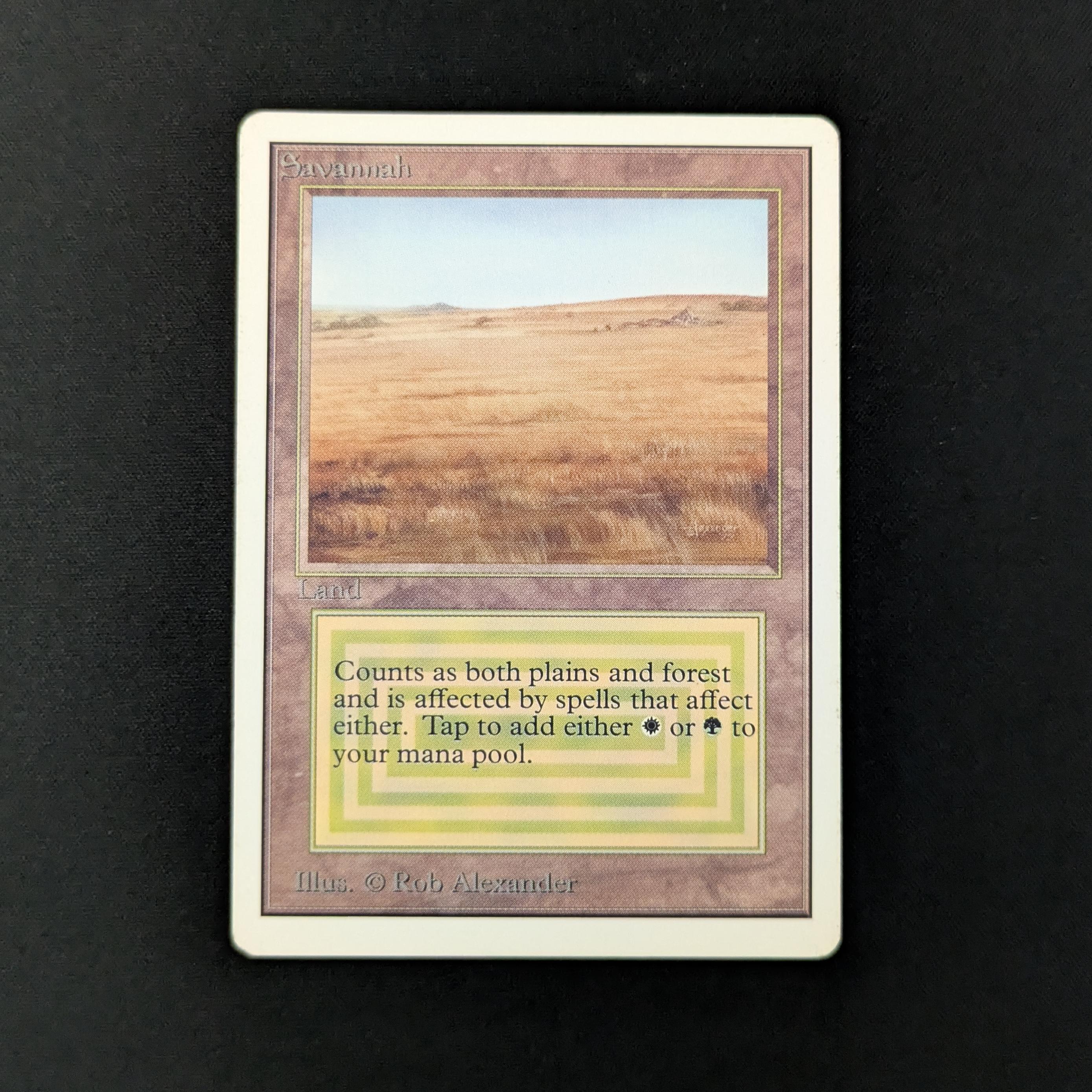 MTG Singles - Savannah - Unlimited - LP - 26422