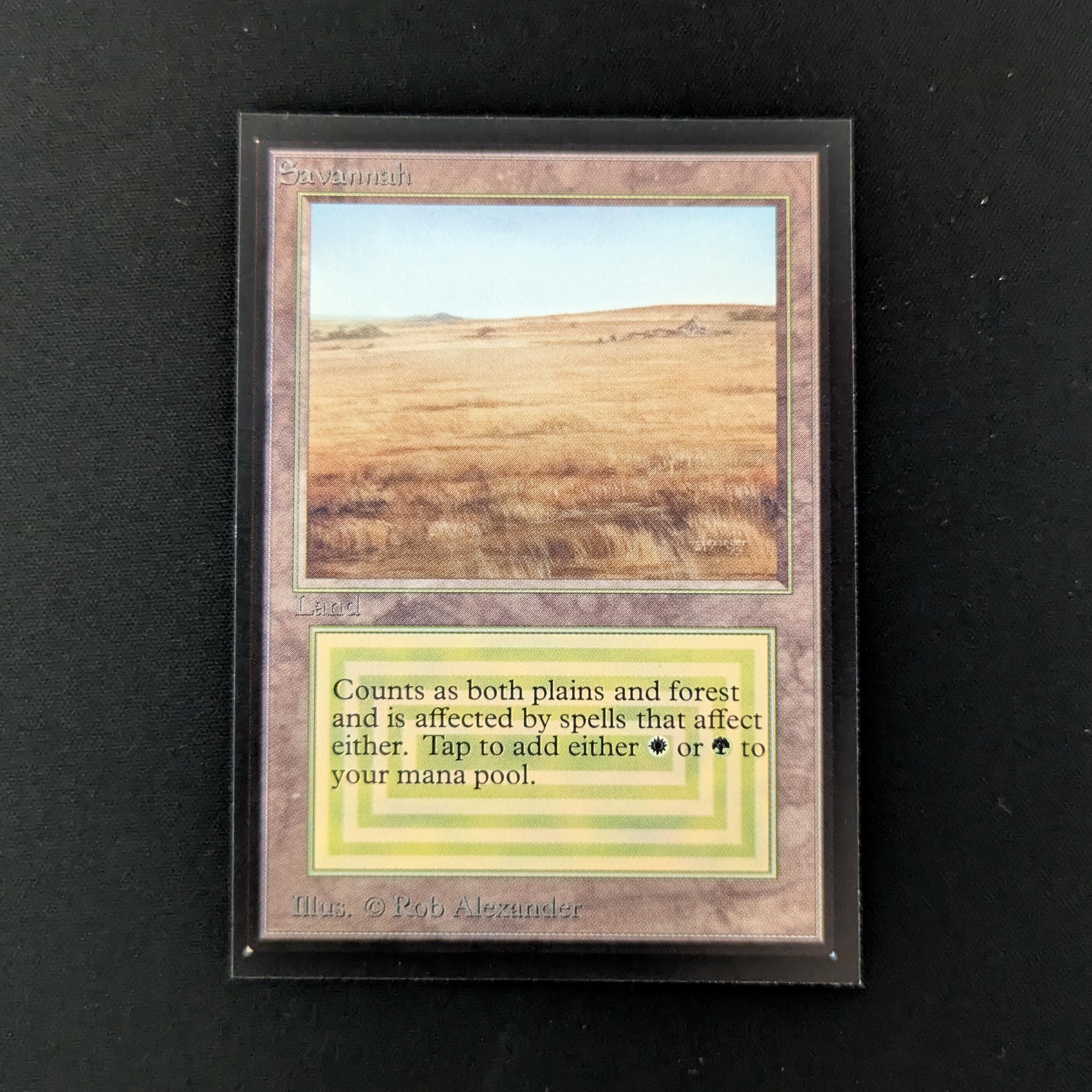 MTG Singles - Savannah - International Edition -