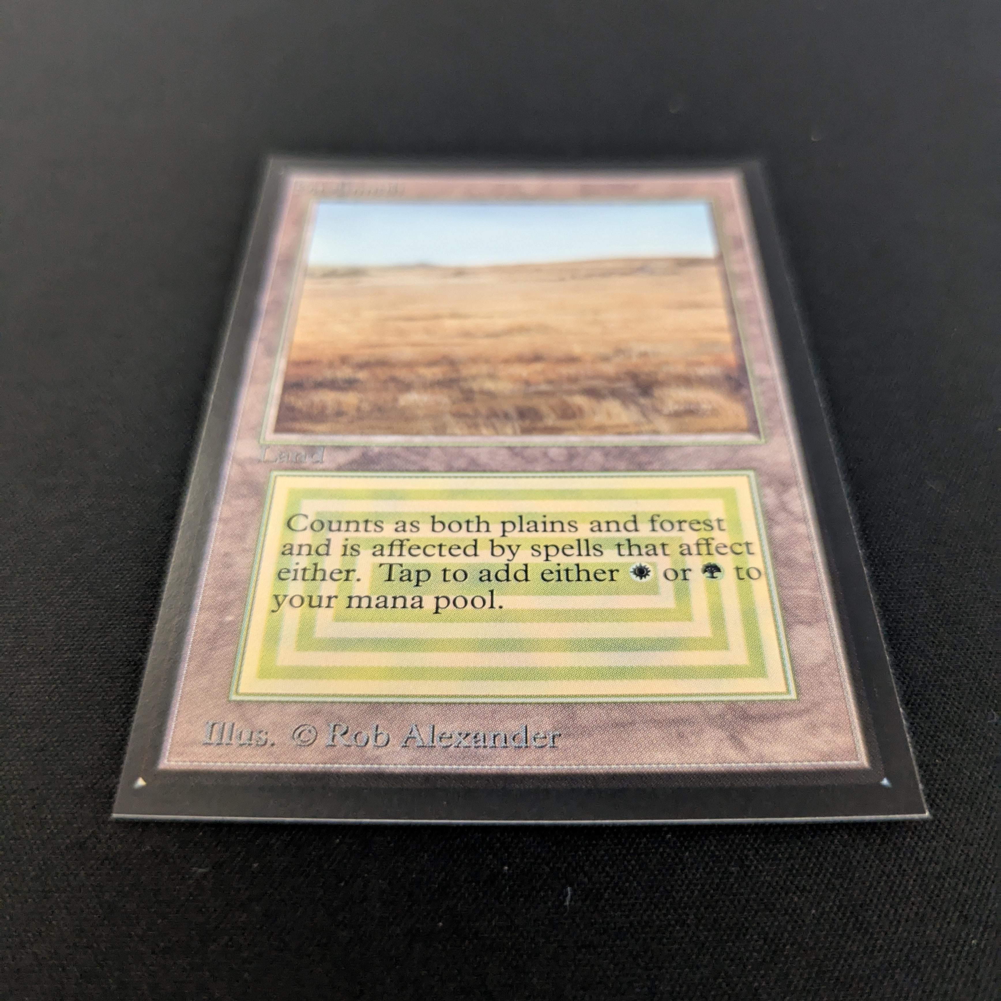 MTG Singles - Savannah - International Edition -