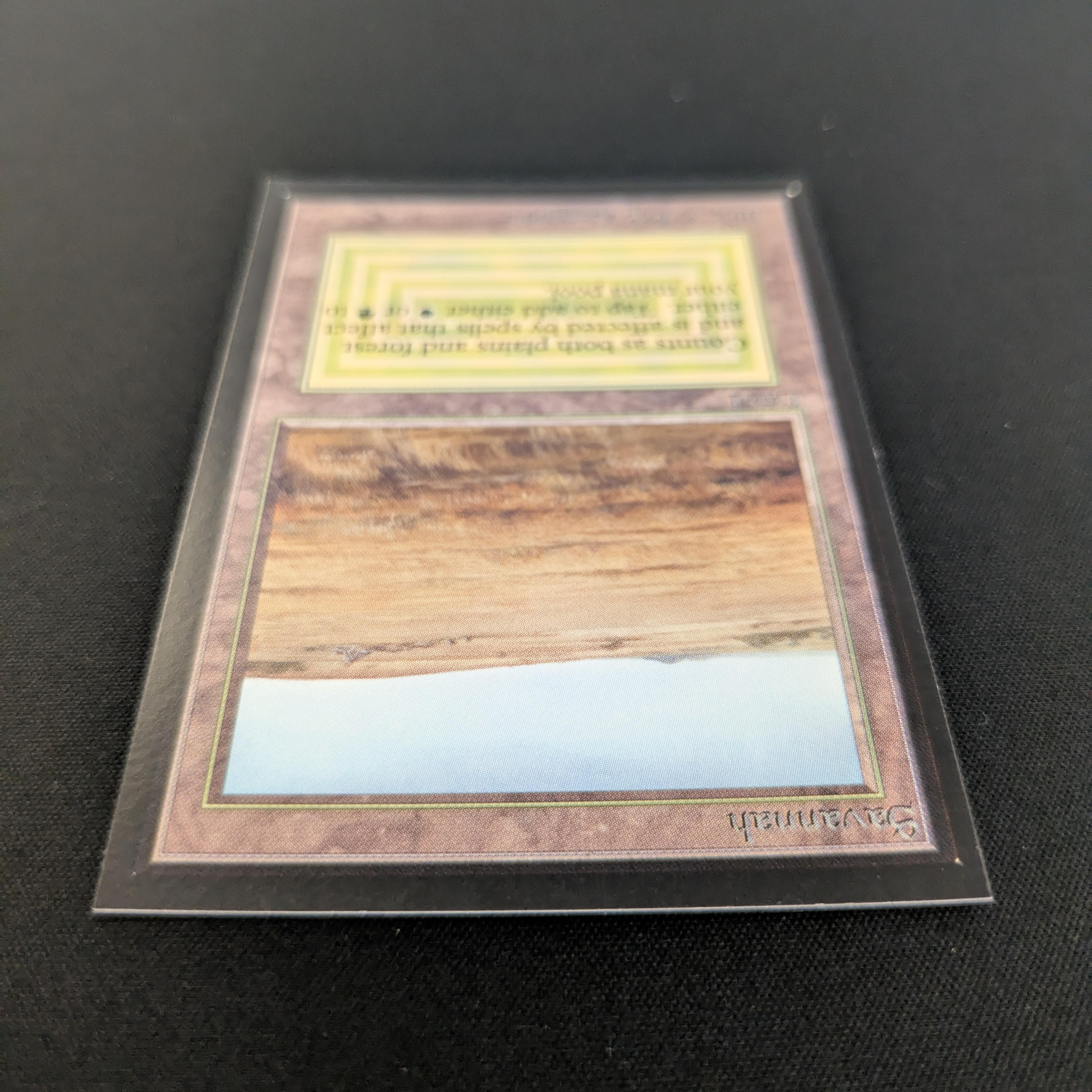 MTG Singles - Savannah - International Edition -