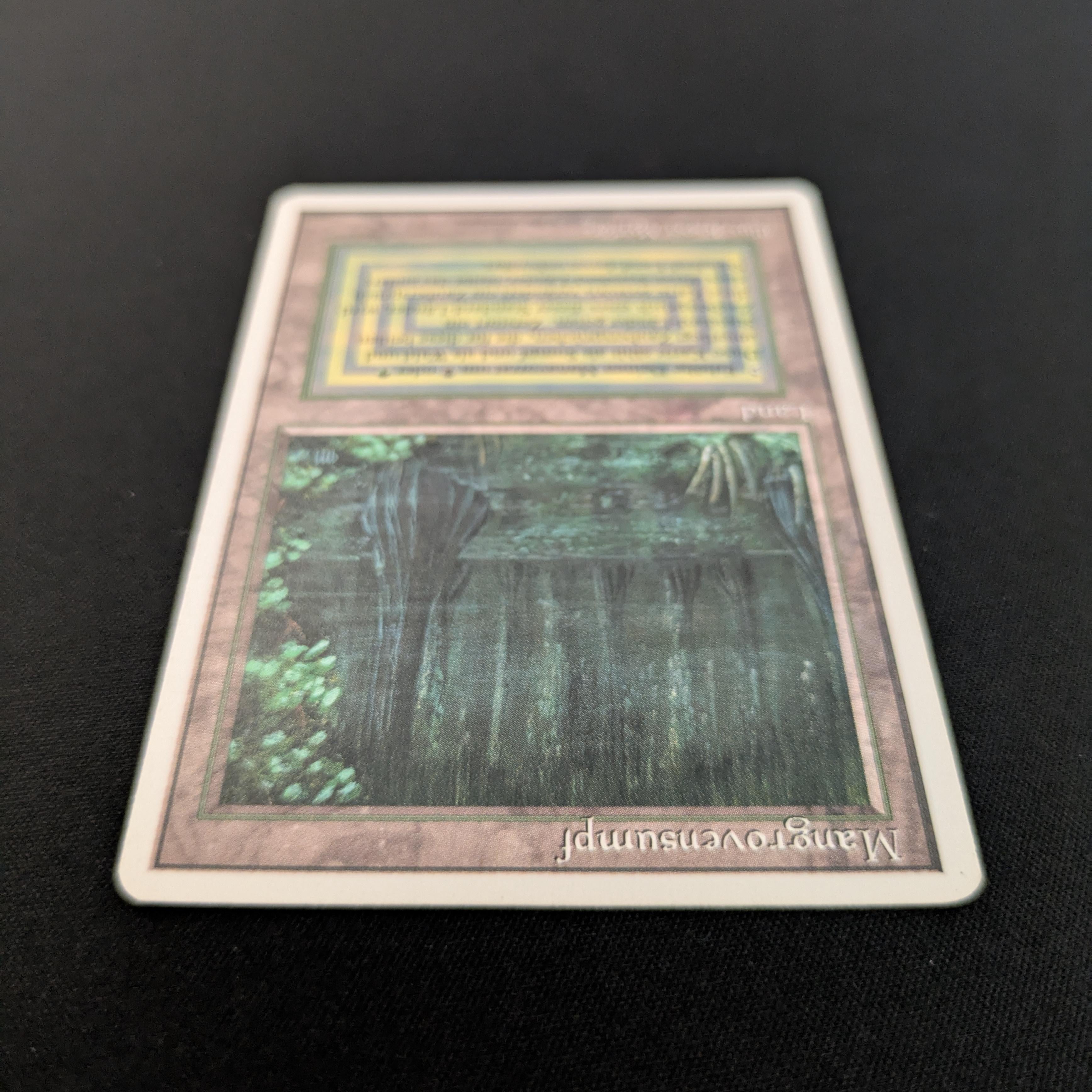 MTG Singles - Bayou - Foreign White Bordered -