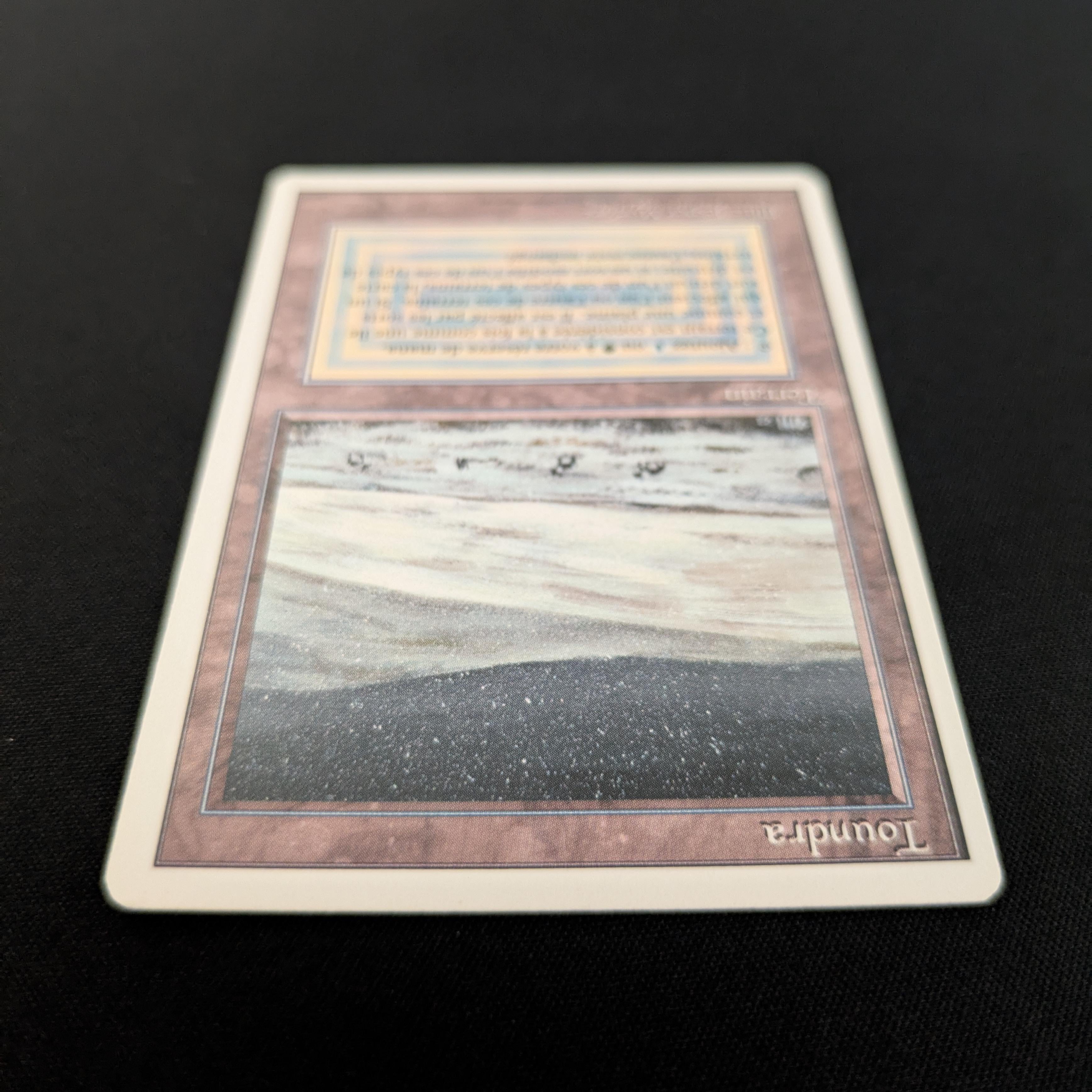 MTG Singles - Tundra - Foreign White Bordered -