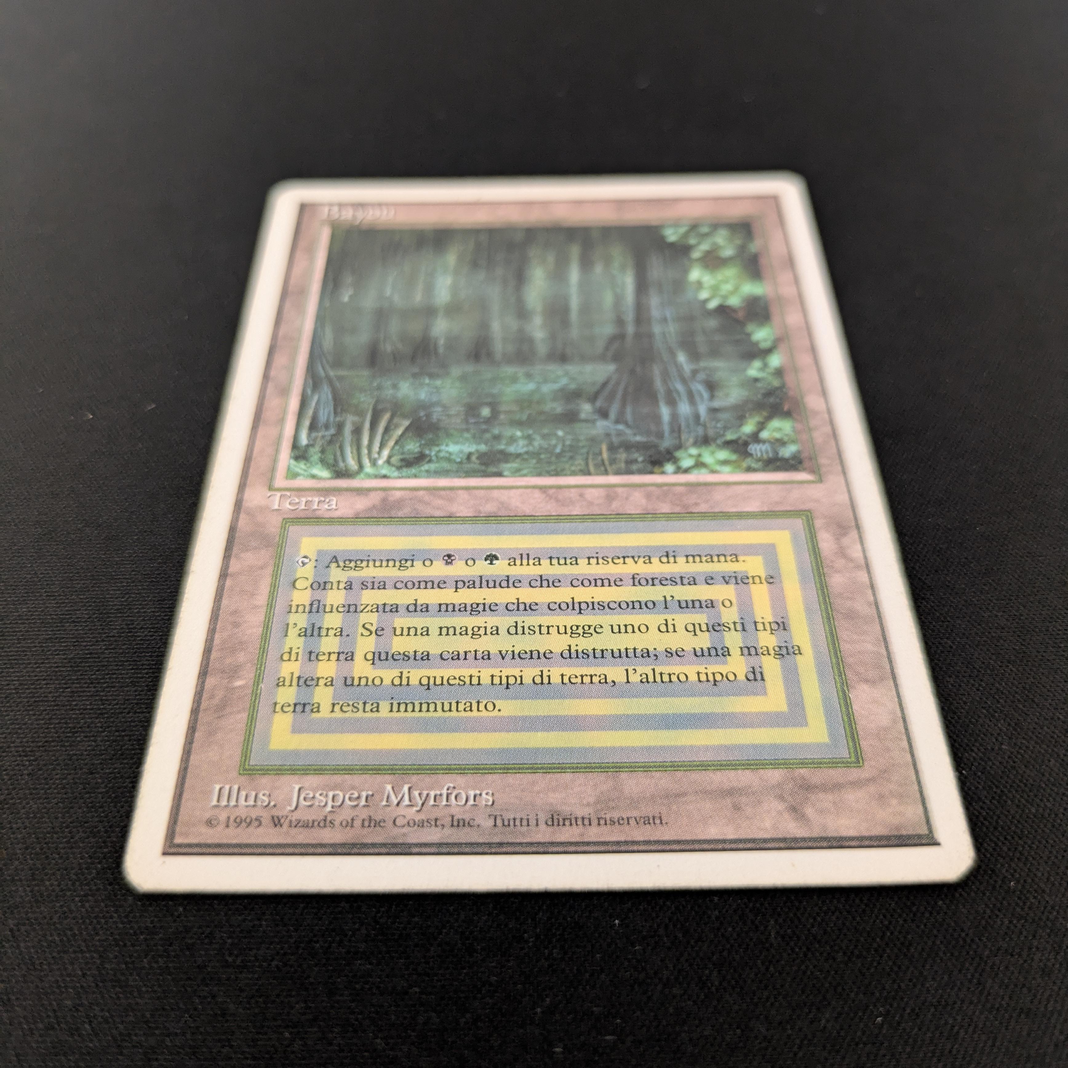 MTG Singles - Bayou - Foreign White Bordered -