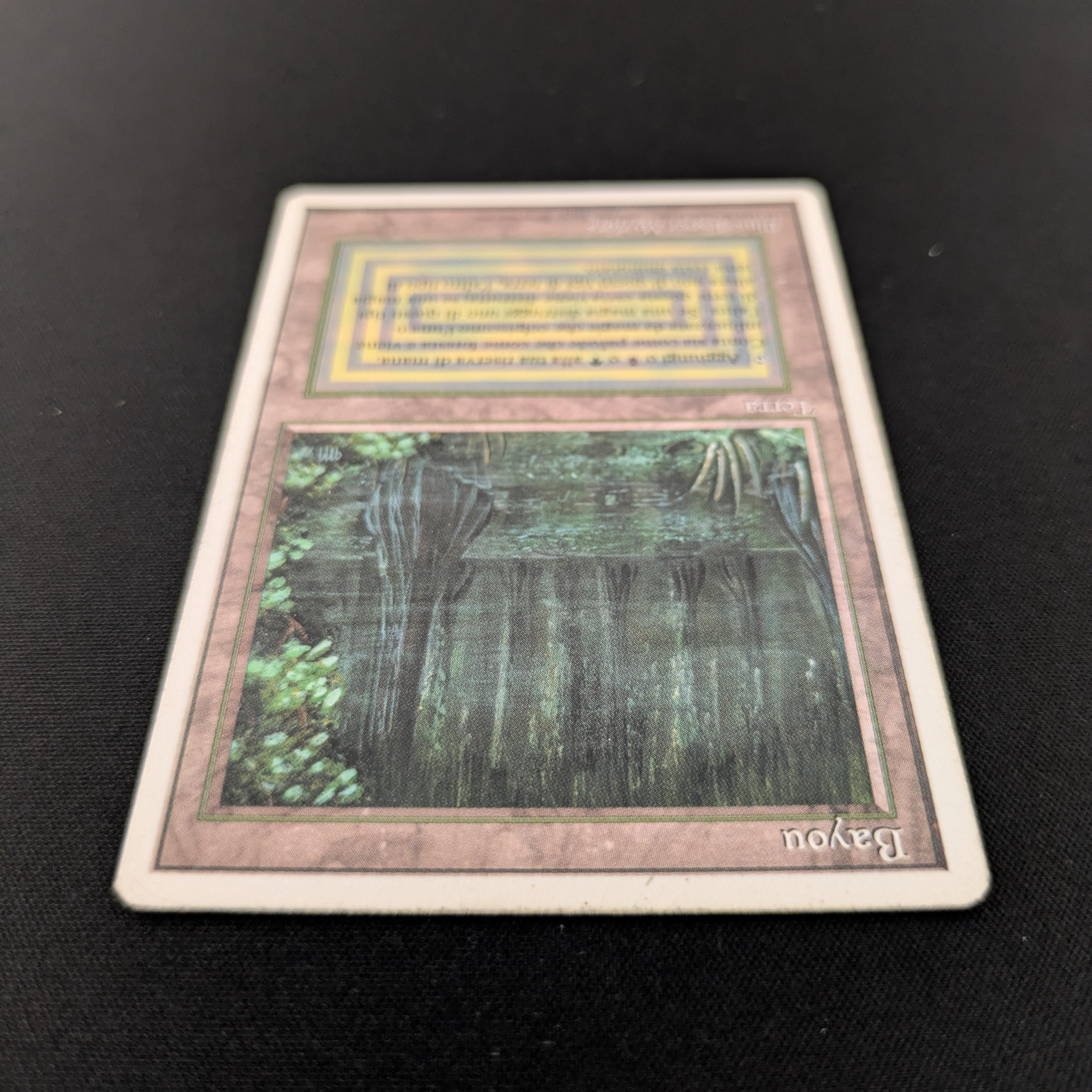 MTG Singles - Bayou - Foreign White Bordered -