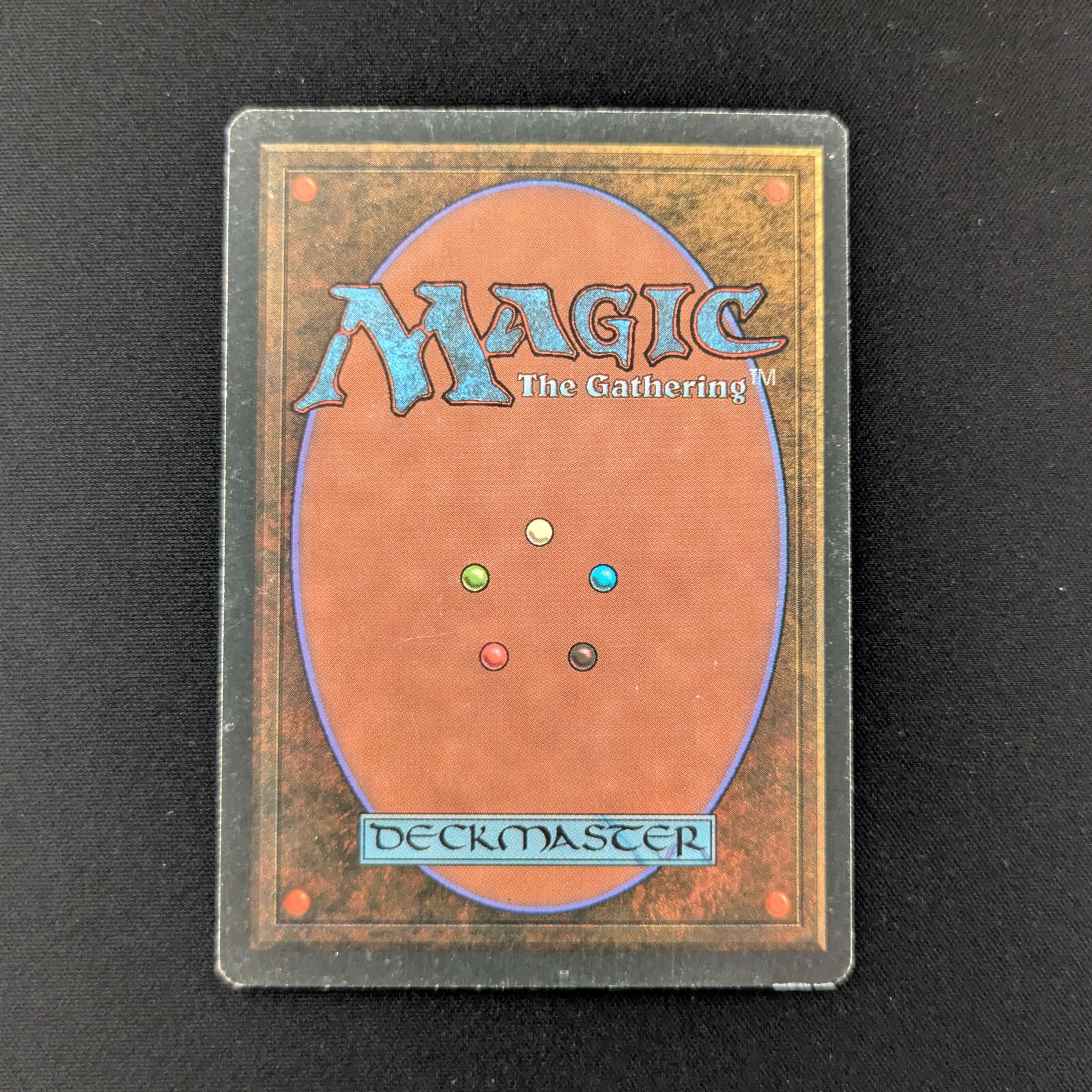 MTG Singles - Bayou - Foreign White Bordered -