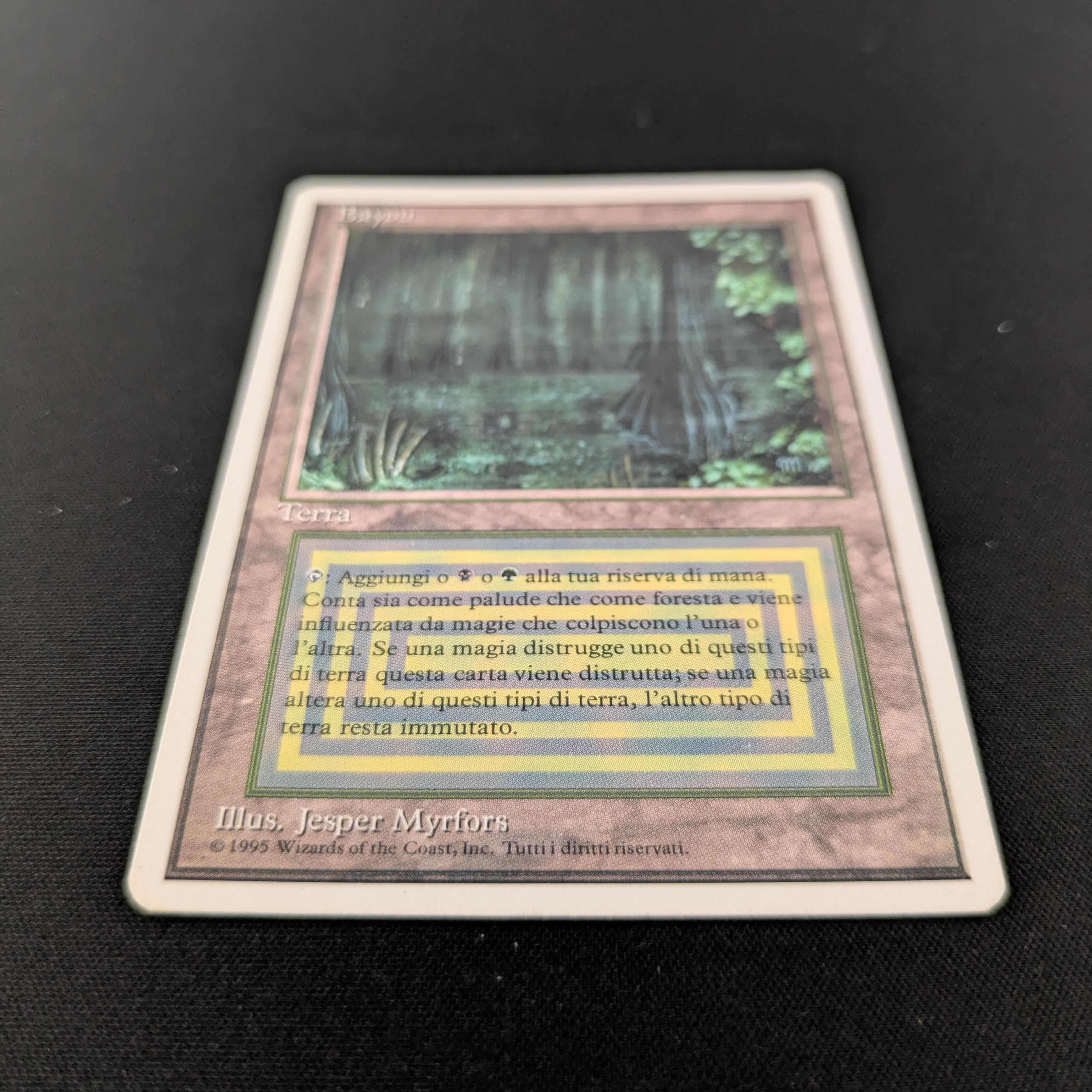 MTG Singles - Bayou - Foreign White Bordered -