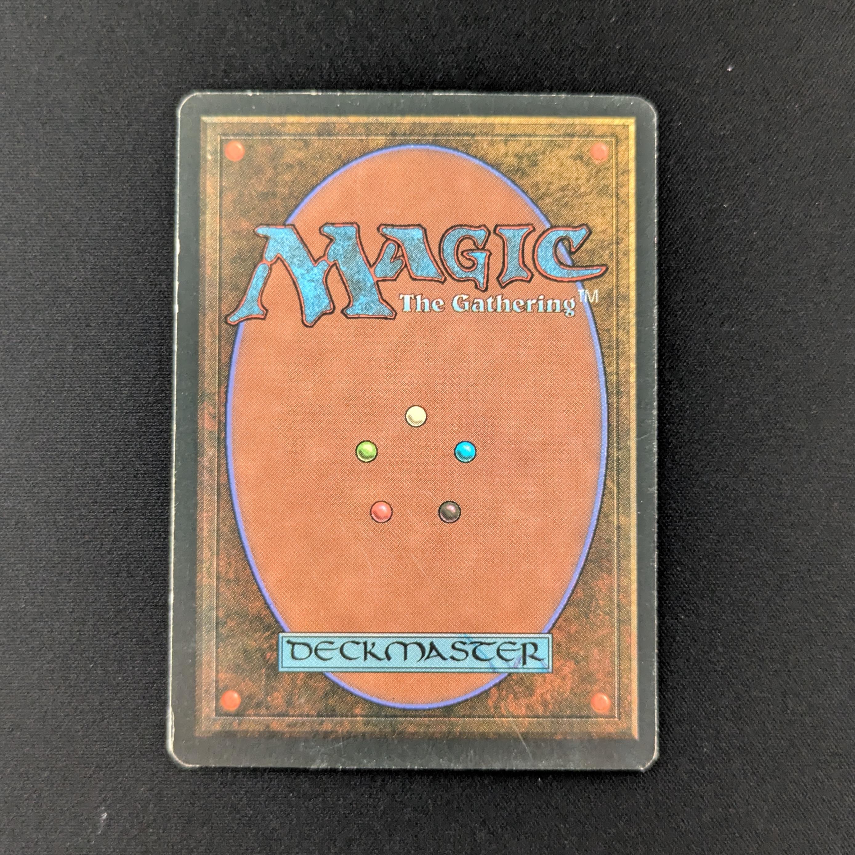 MTG Singles - Savannah - Foreign White Bordered -