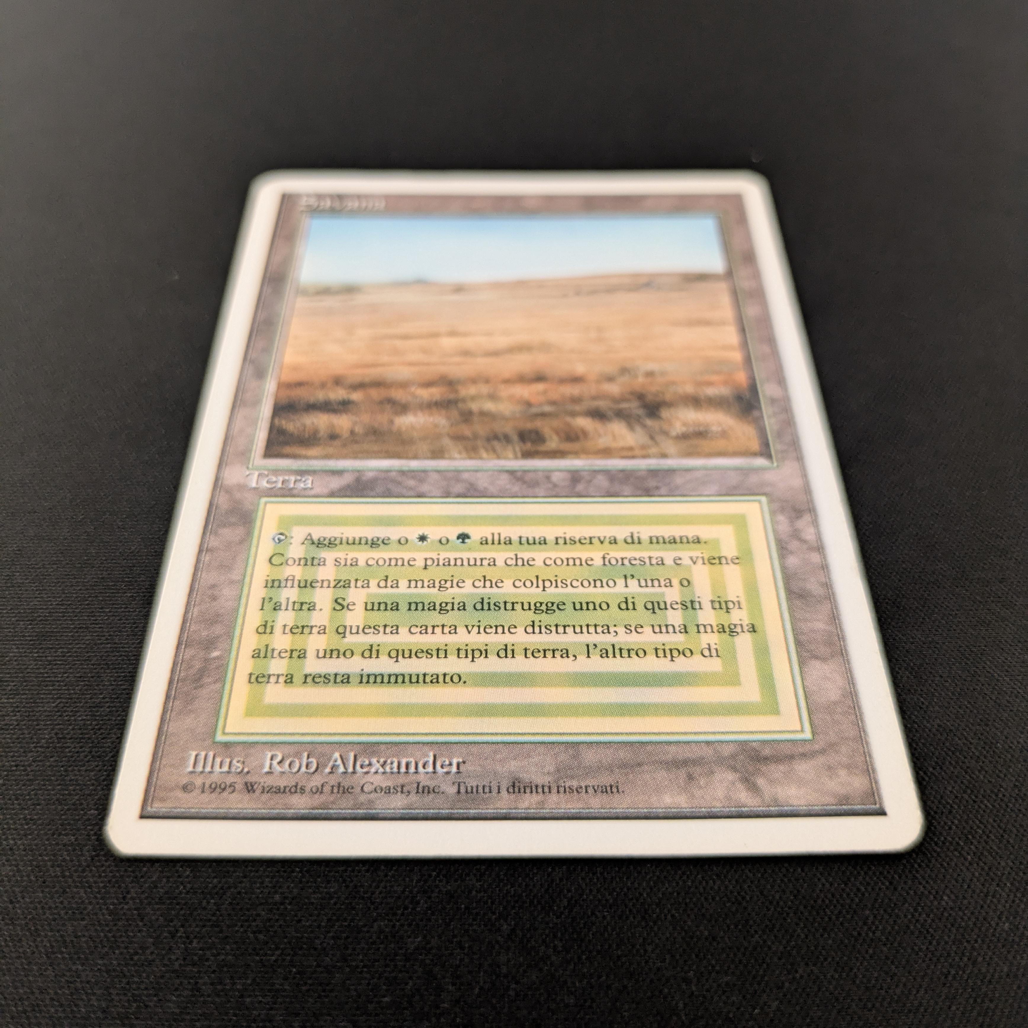 MTG Singles - Savannah - Foreign White Bordered -
