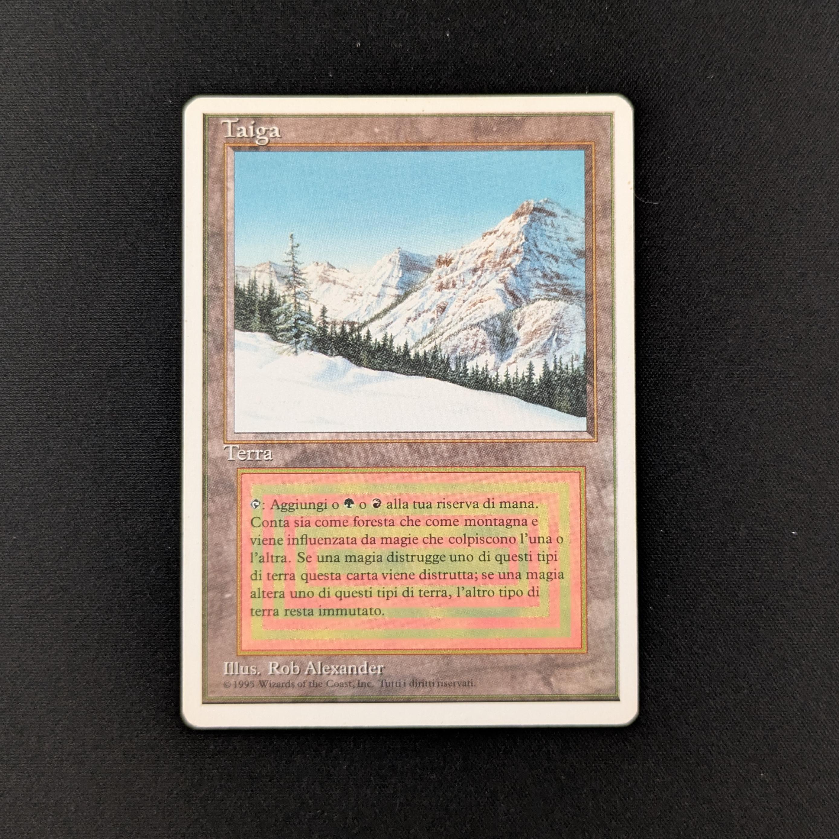 MTG Singles - Taiga - Foreign White Bordered - Italian - GD - 26665