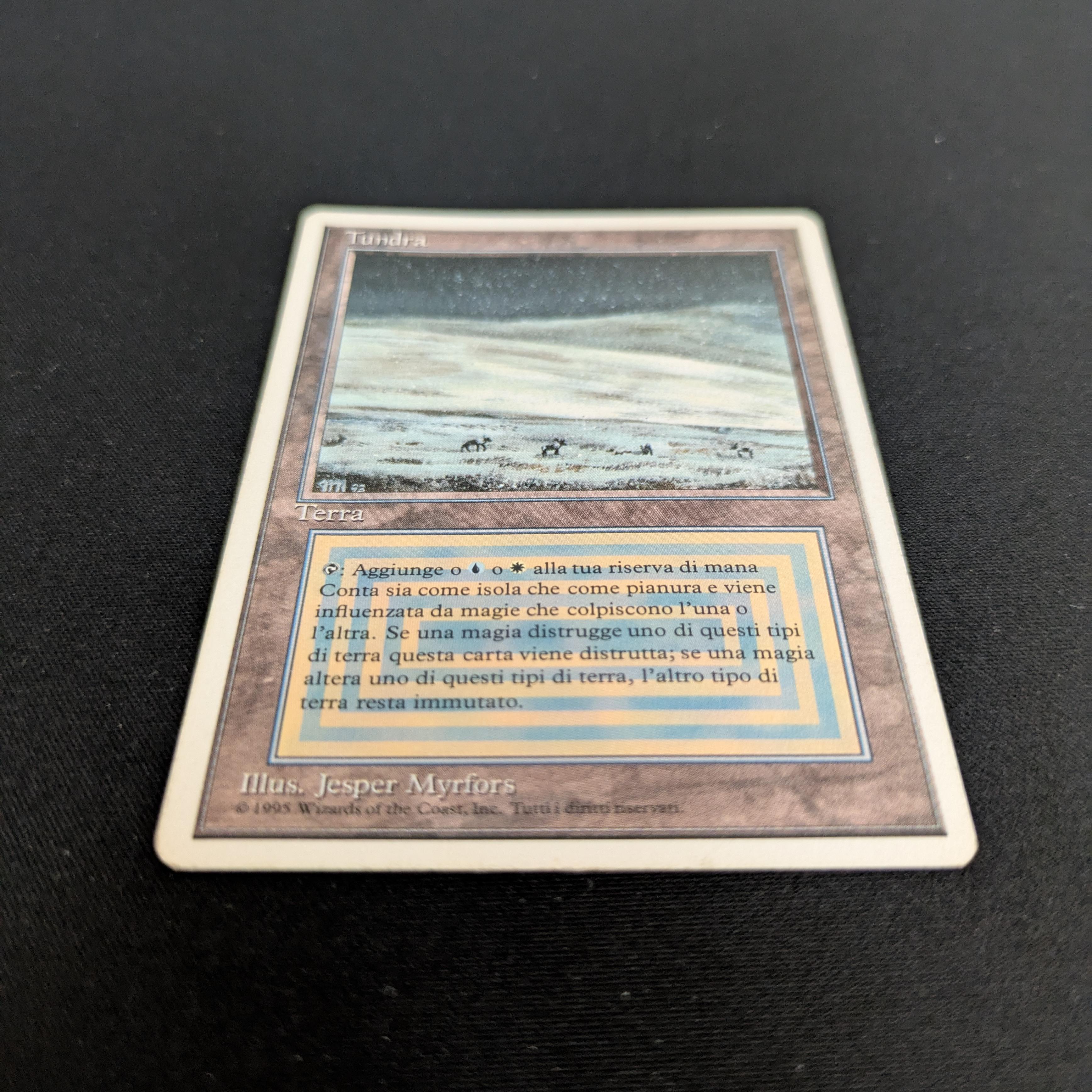MTG Singles - Tundra - Foreign White Bordered -
