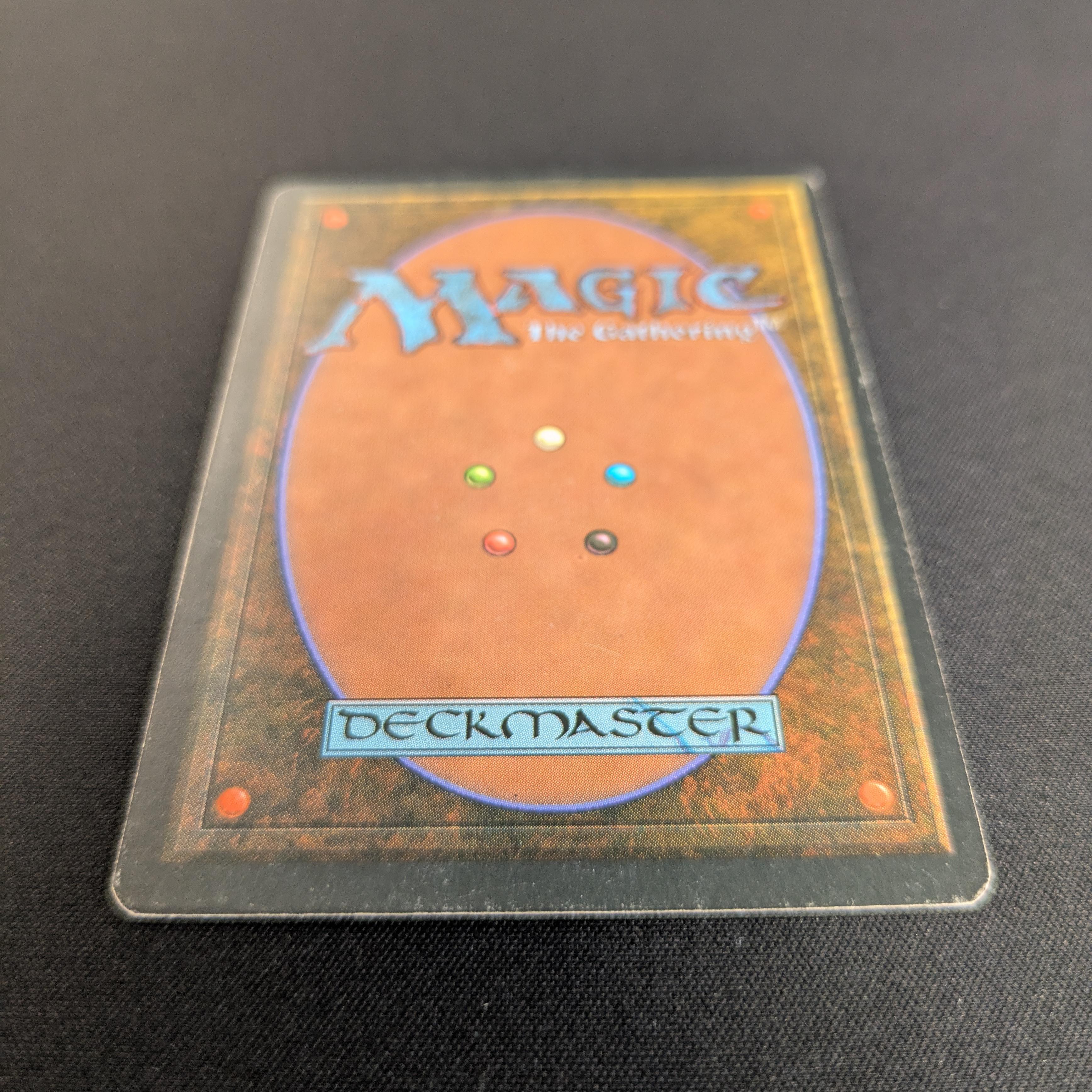 MTG Singles - Savannah - Foreign White Bordered -