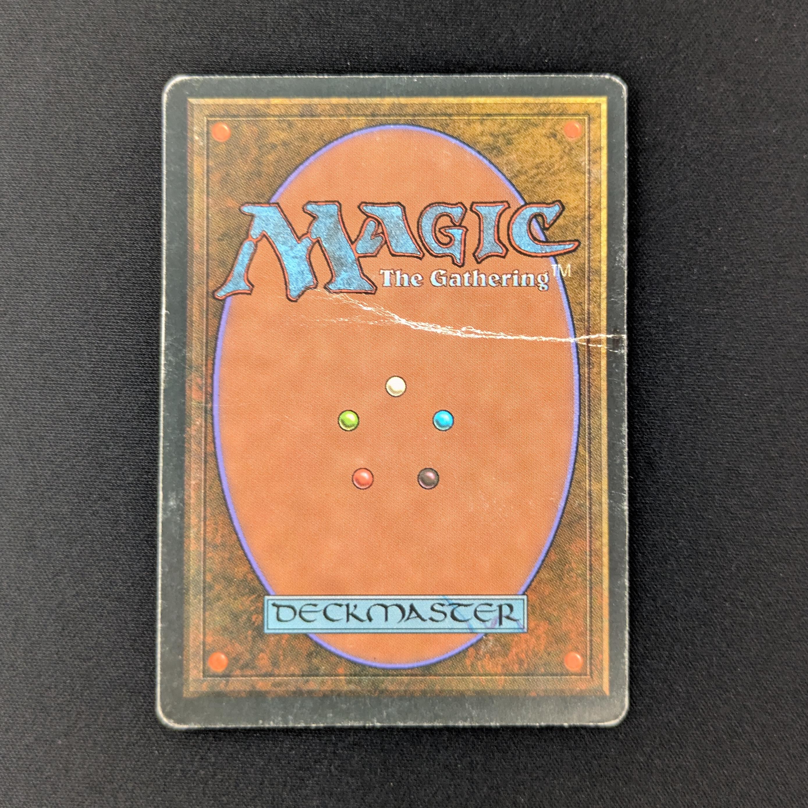 MTG Singles - Bayou - Foreign White Bordered -