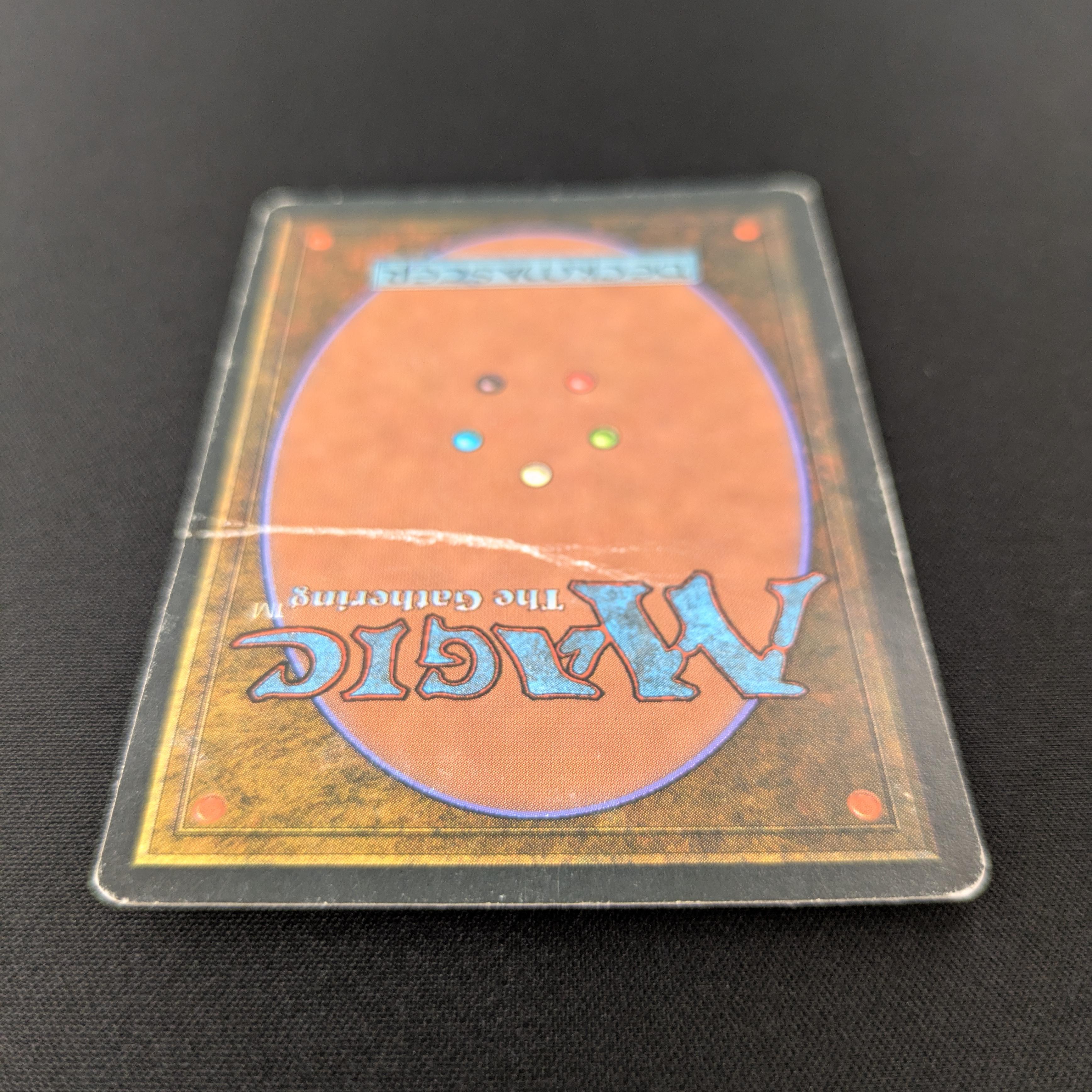 MTG Singles - Bayou - Foreign White Bordered -