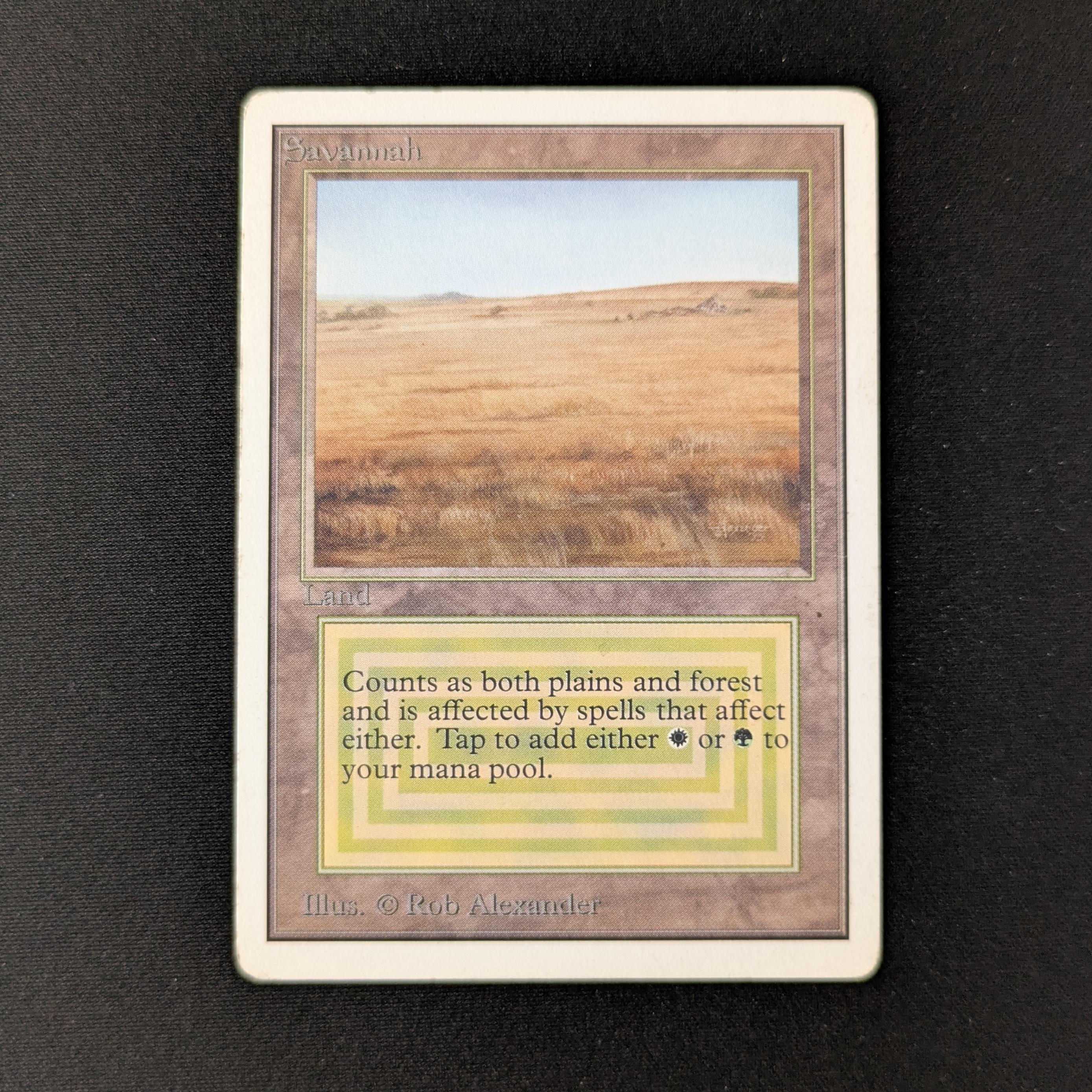 MTG Singles - Savannah - Unlimited - LP - 27084