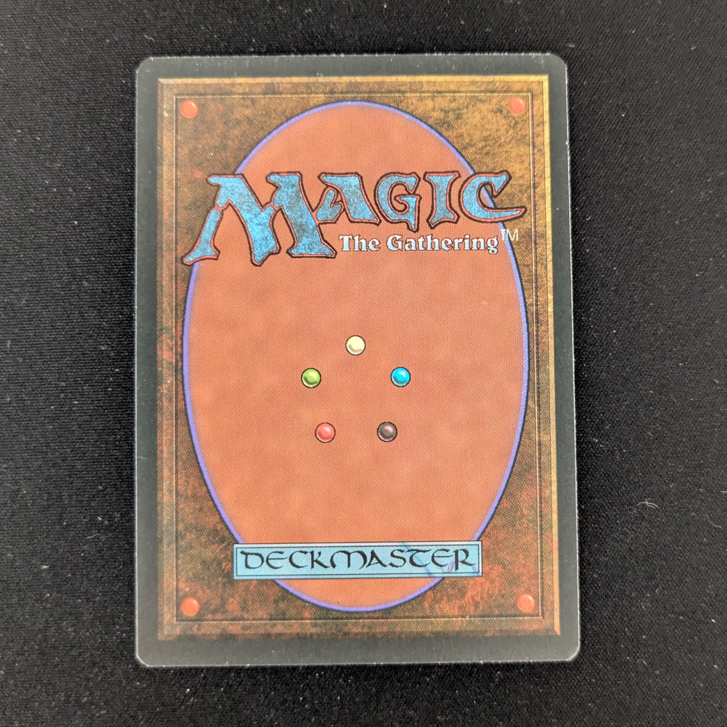 MTG Singles - Bayou - Foreign White Bordered -