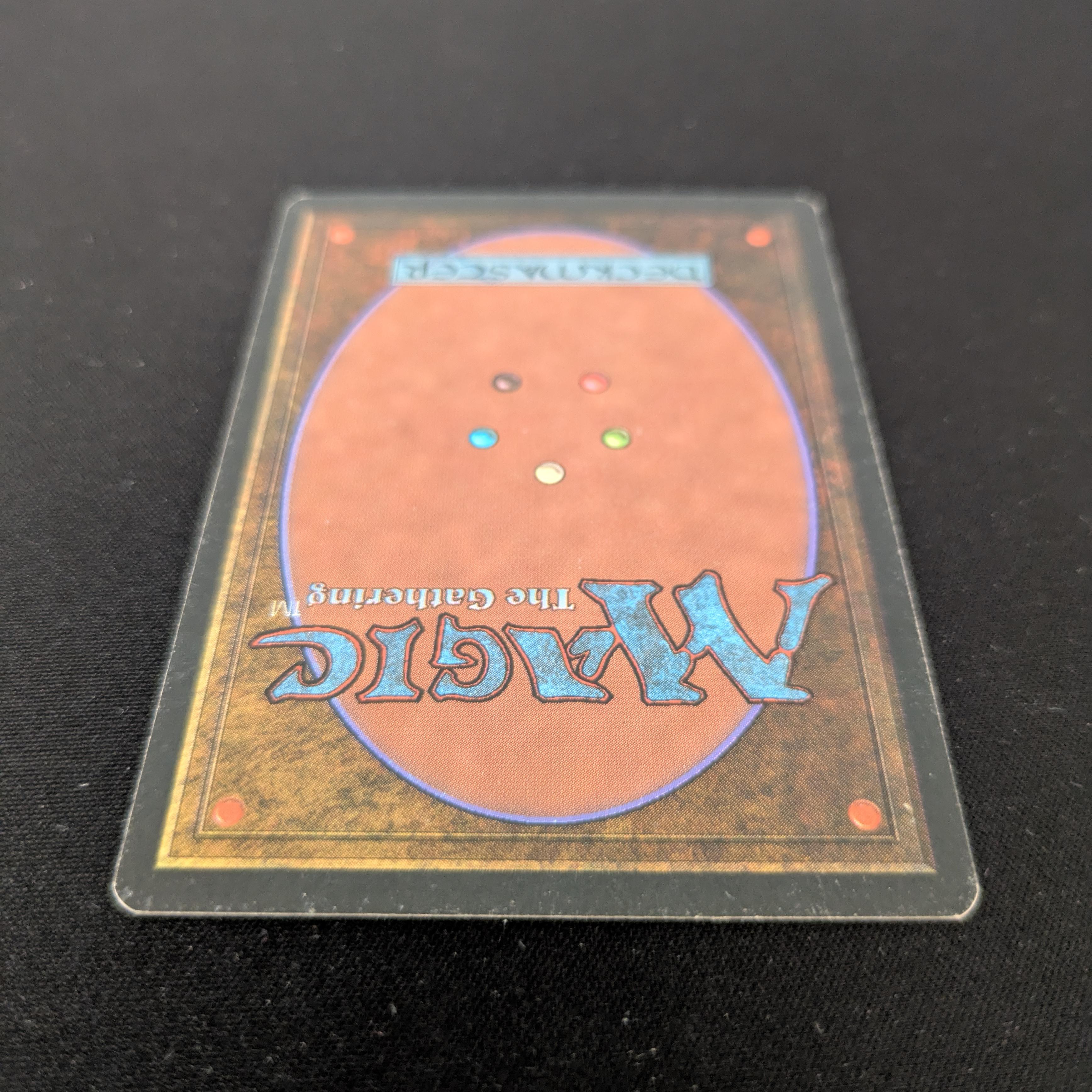MTG Singles - Bayou - Foreign White Bordered -