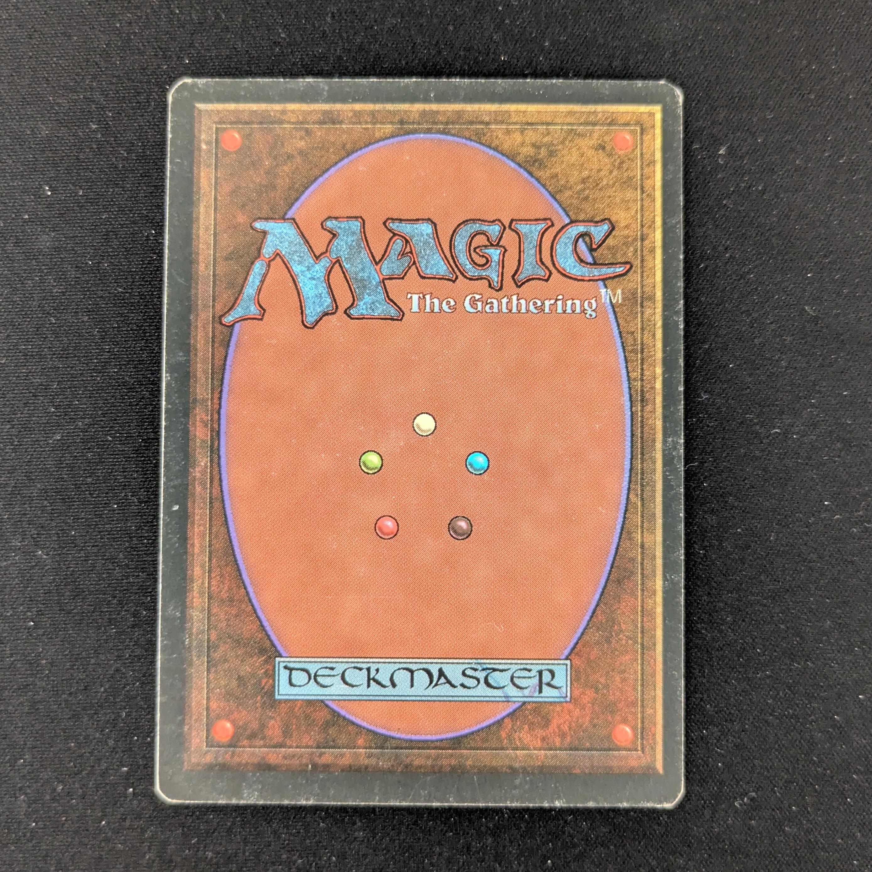 MTG Singles - Taiga - Foreign White Bordered -