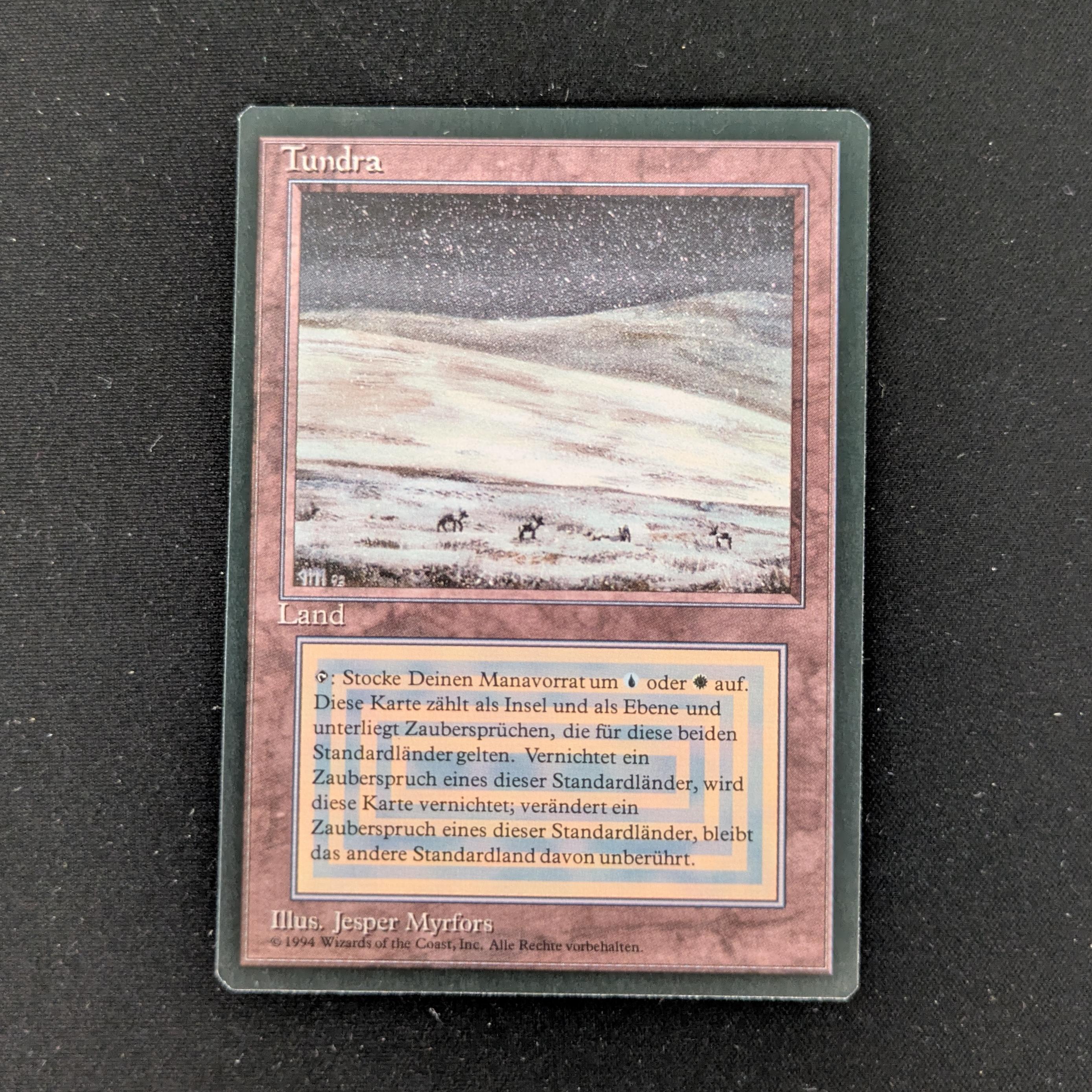 MTG Singles - Tundra - Foreign Black Bordered - German - NM - 27157