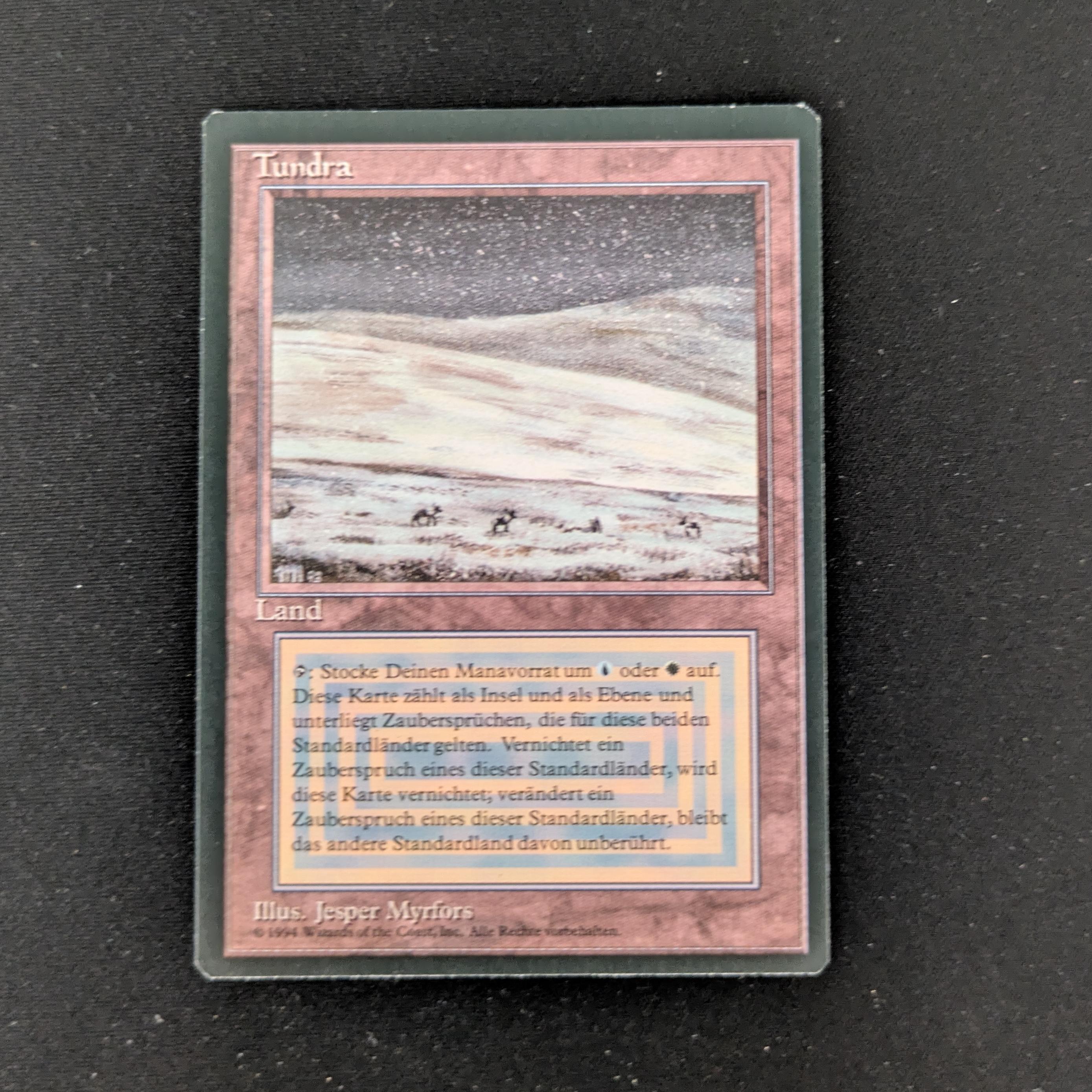 MTG Singles - Tundra - Foreign Black Bordered - German - NM - 27158