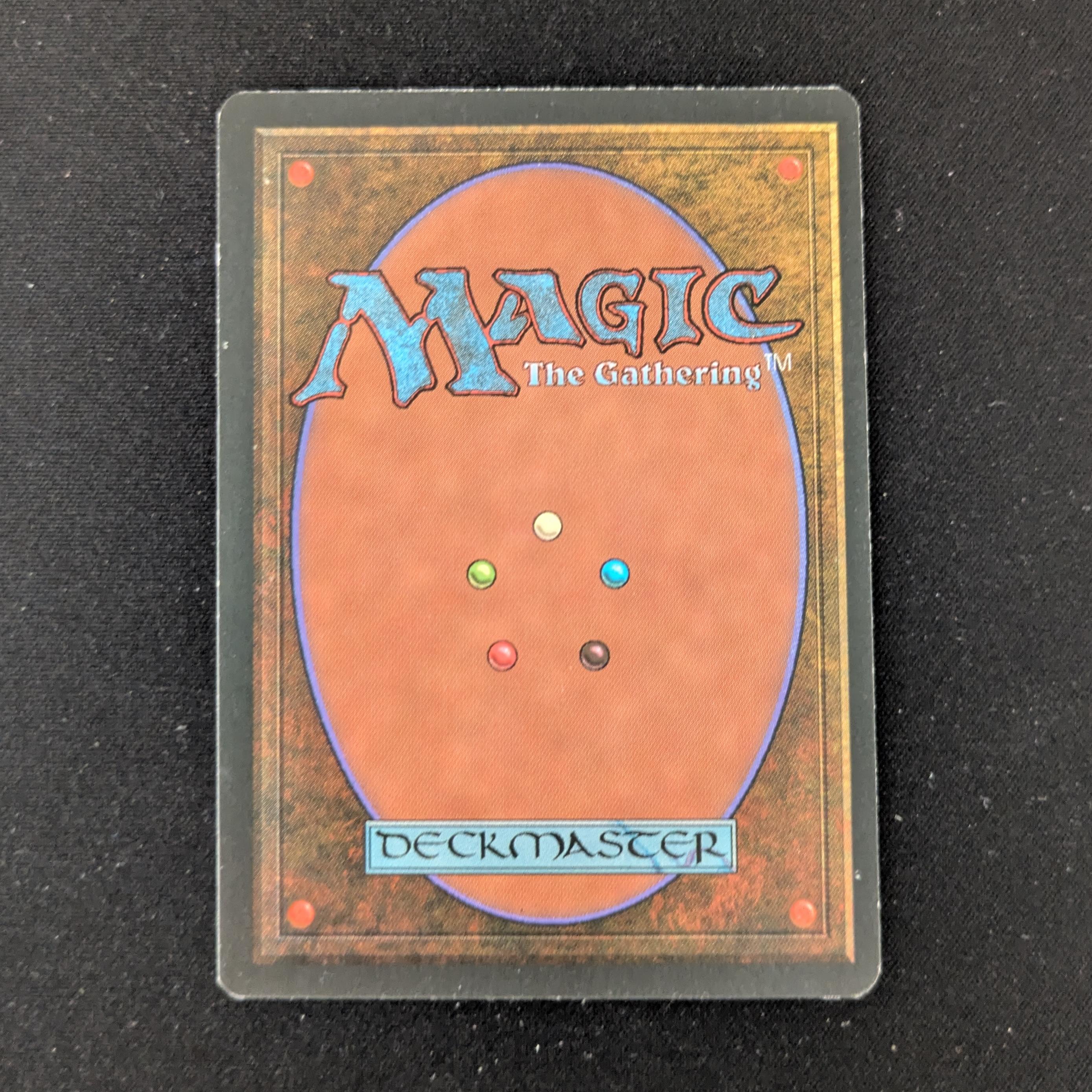 MTG Singles - Tundra - Foreign Black Bordered -