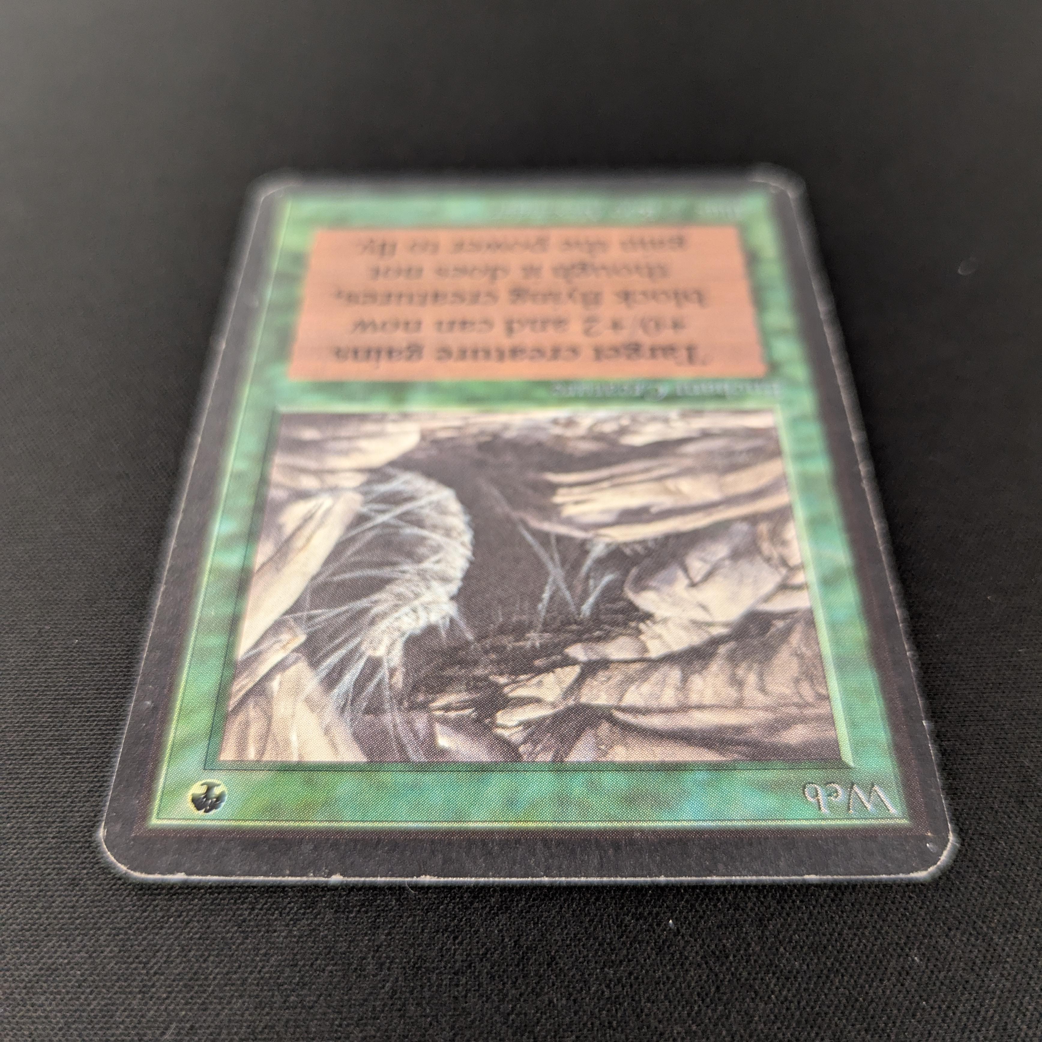MTG Singles - Web - Alpha -