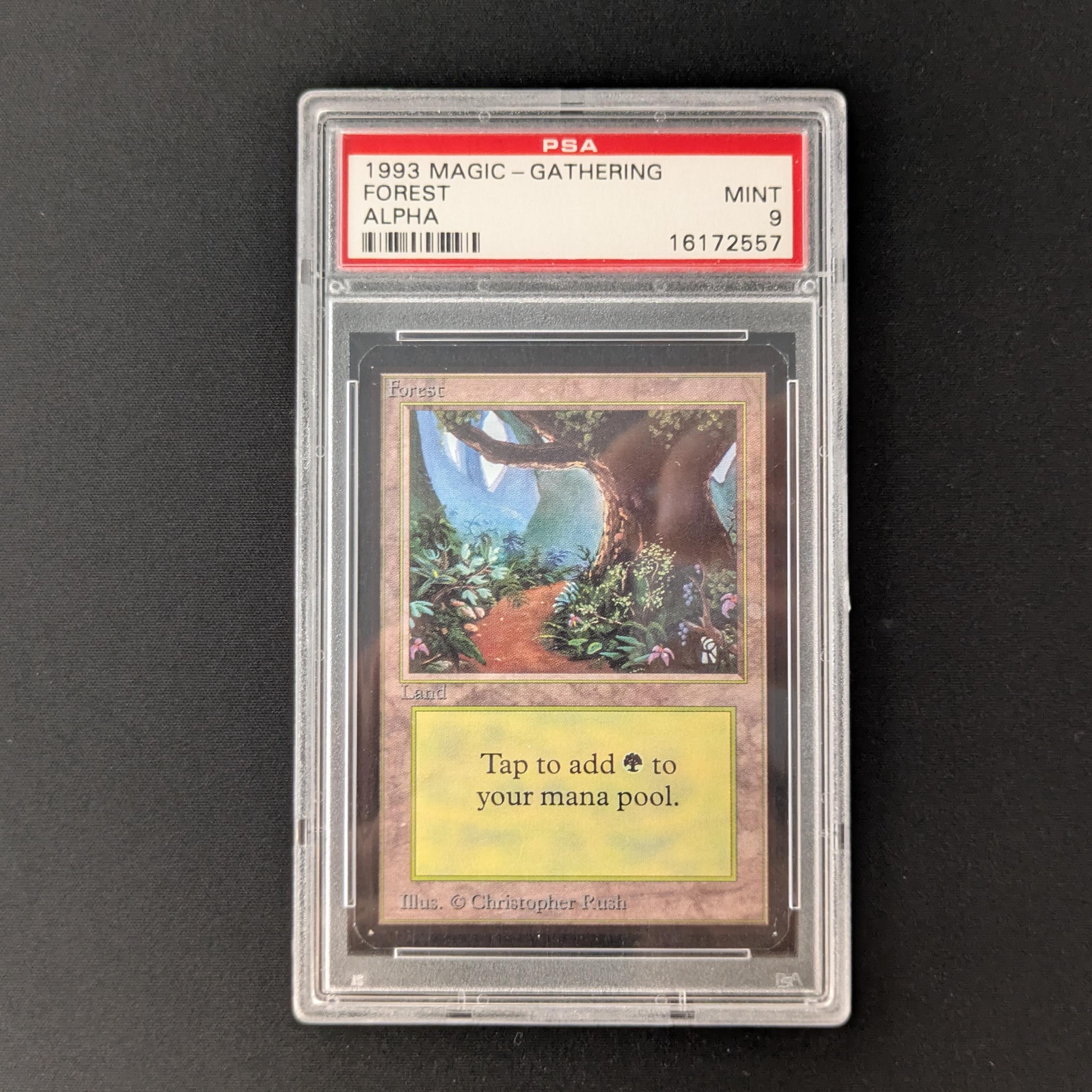 MTG Singles - Forest (V.2) - Alpha - PSA 9 -