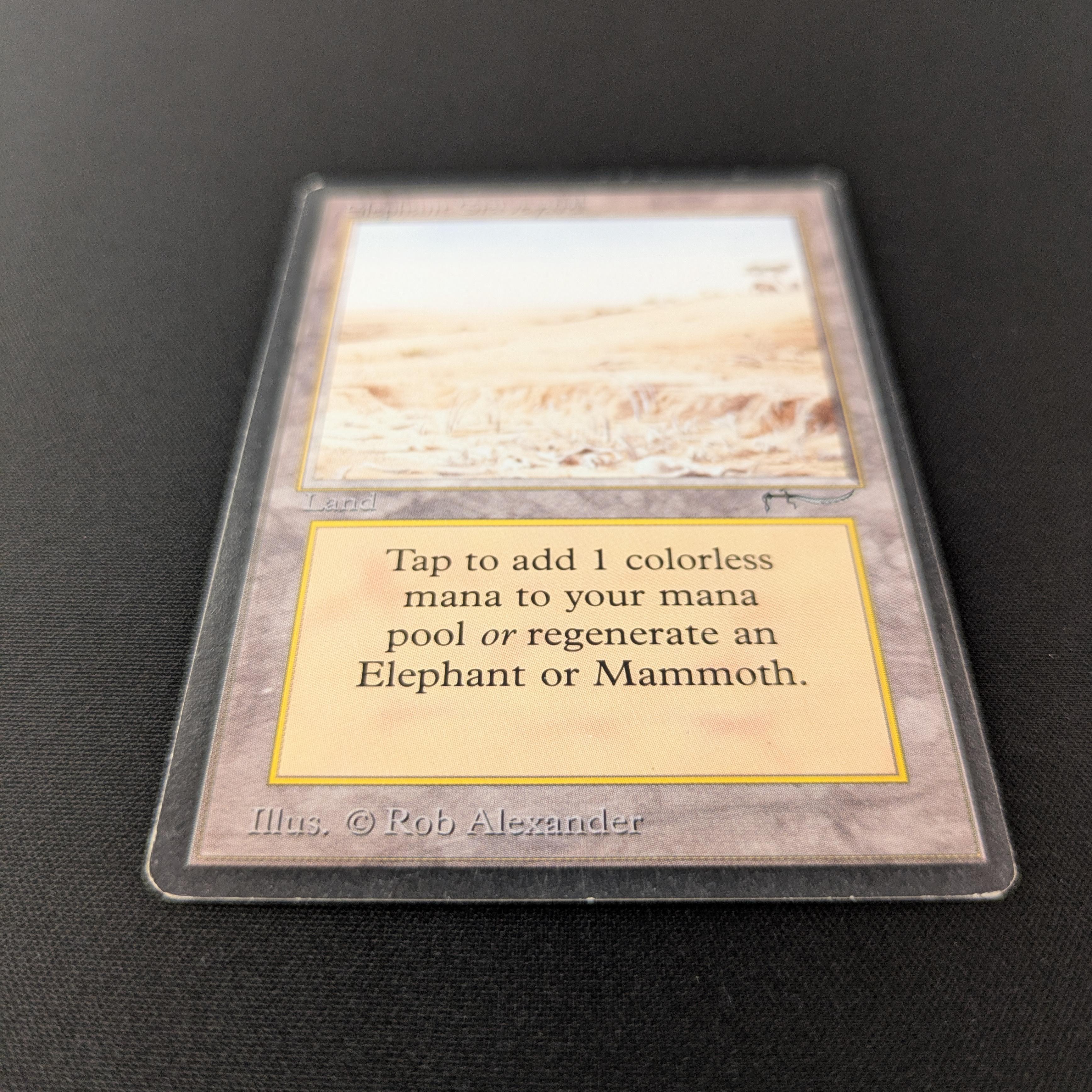 MTG Singles - Elephant Graveyard - Arabian Nights -