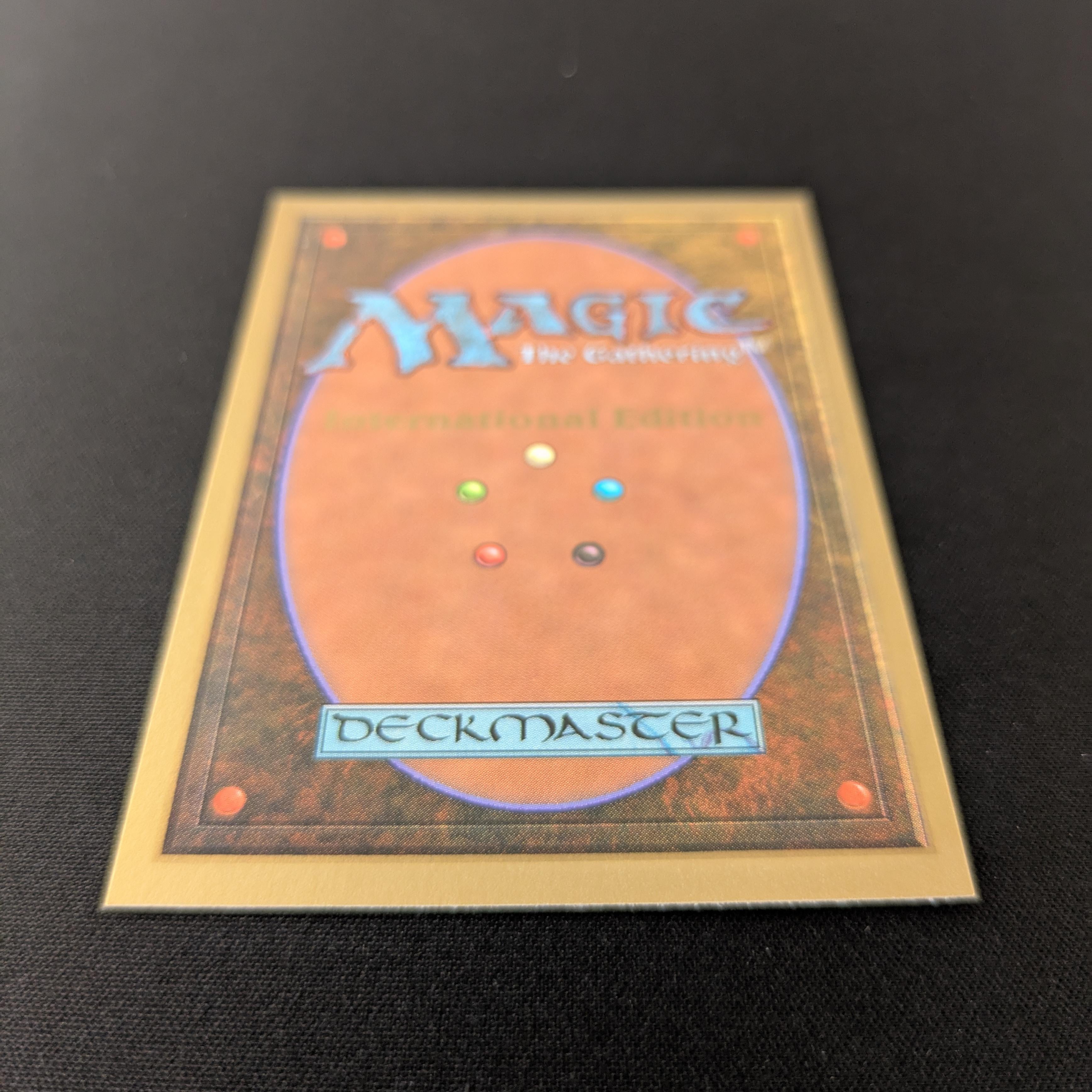 MTG Singles - Savannah - International Edition -