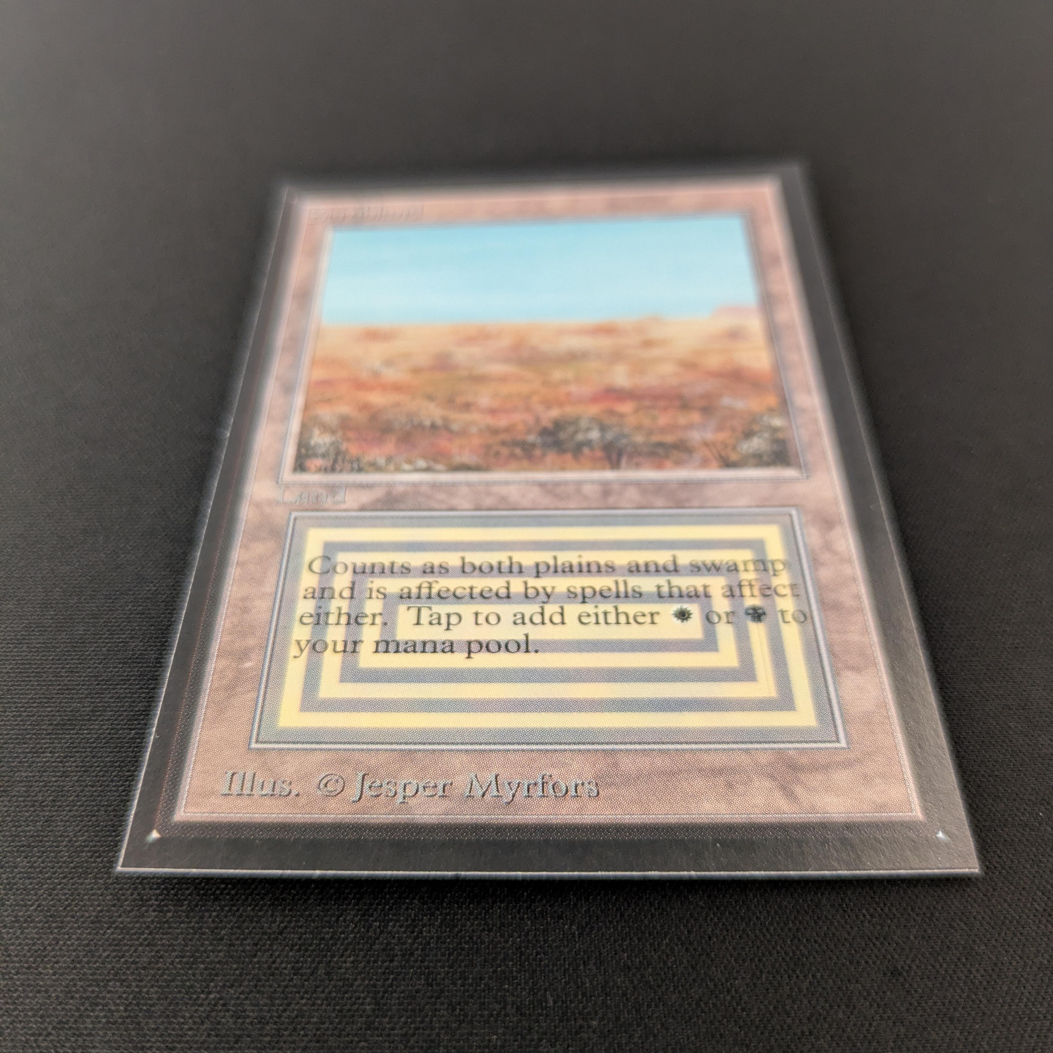 MTG Singles - Scrubland - International Edition -