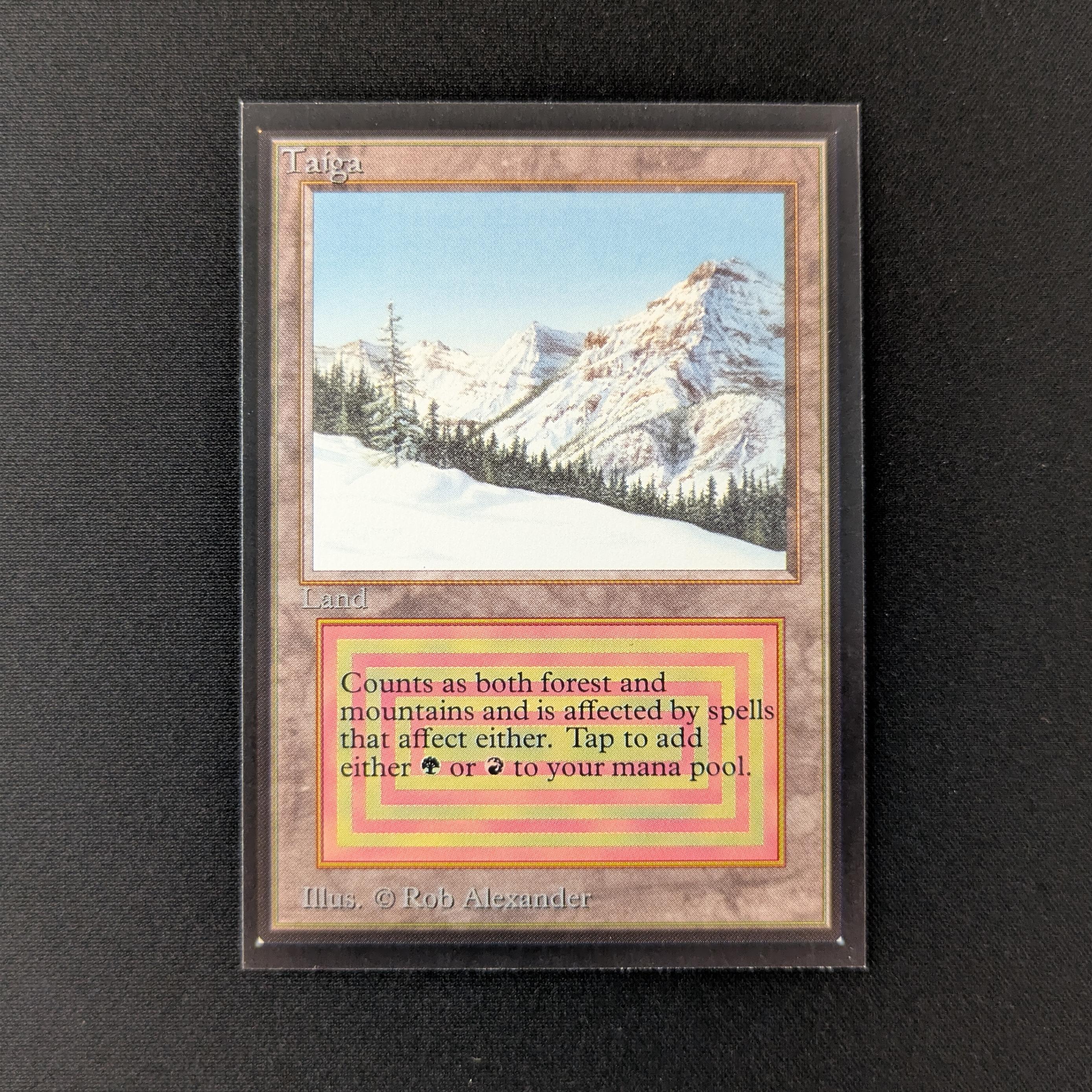 MTG Singles - Taiga - International Edition - NM - 27419