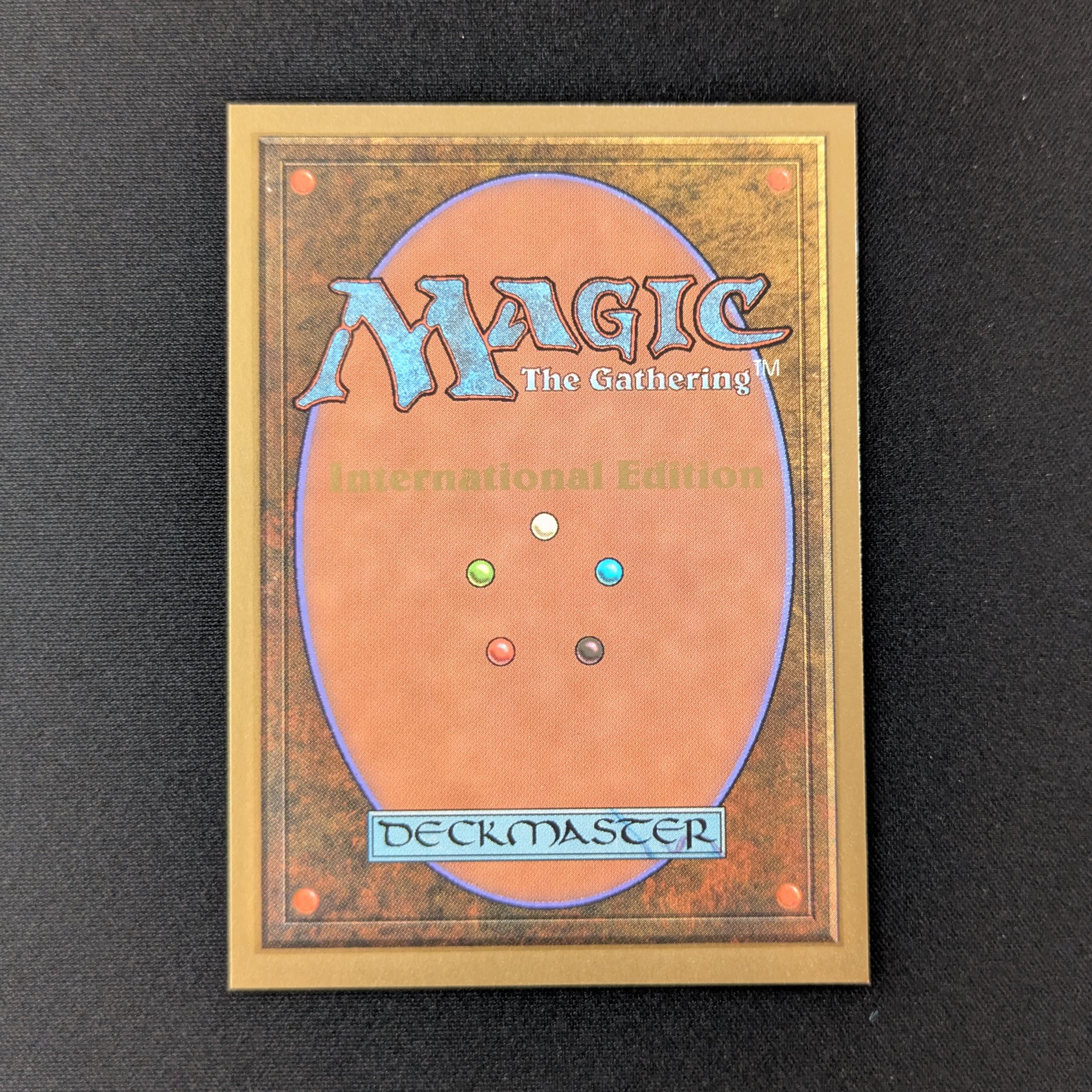 MTG Singles - Taiga - International Edition -