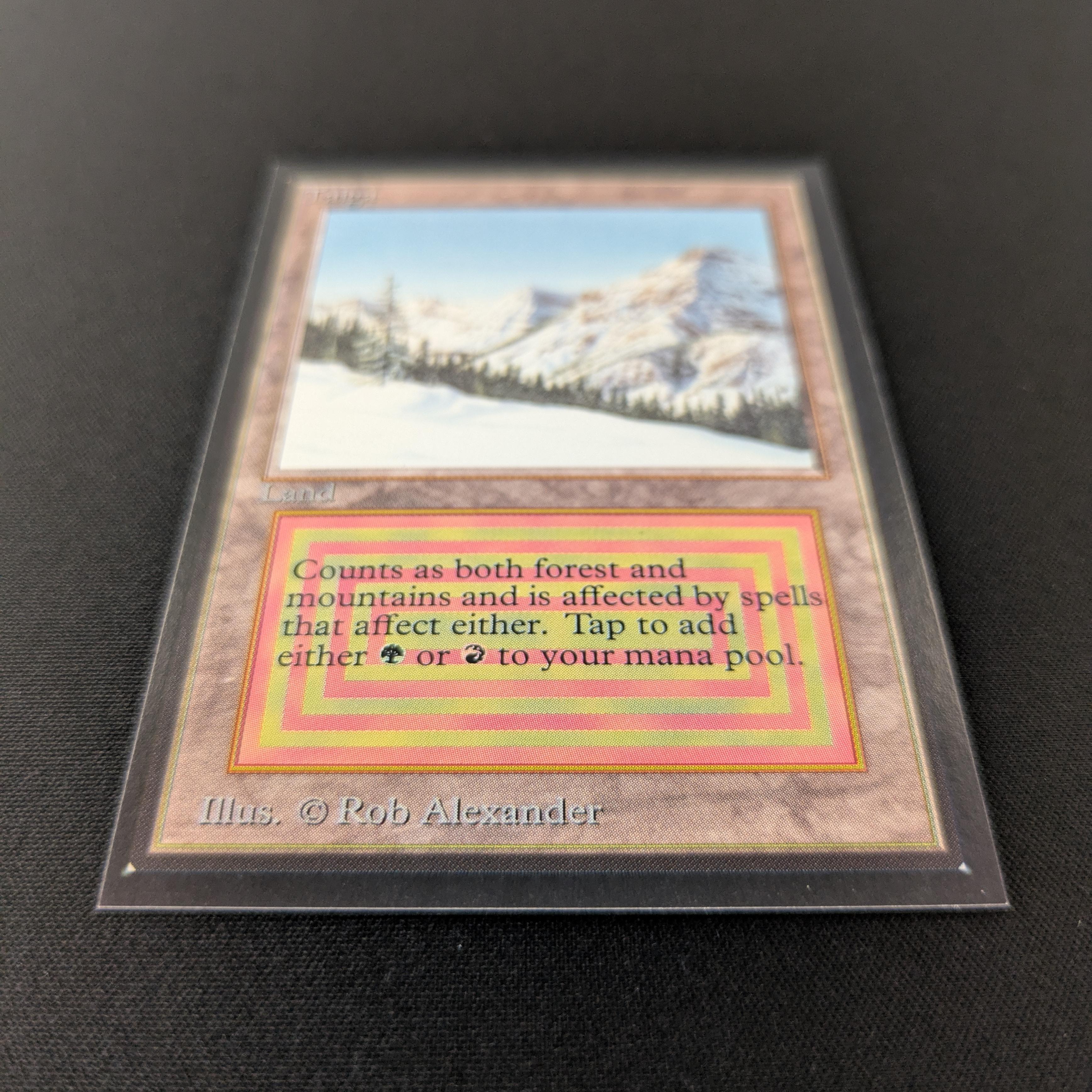 MTG Singles - Taiga - International Edition -