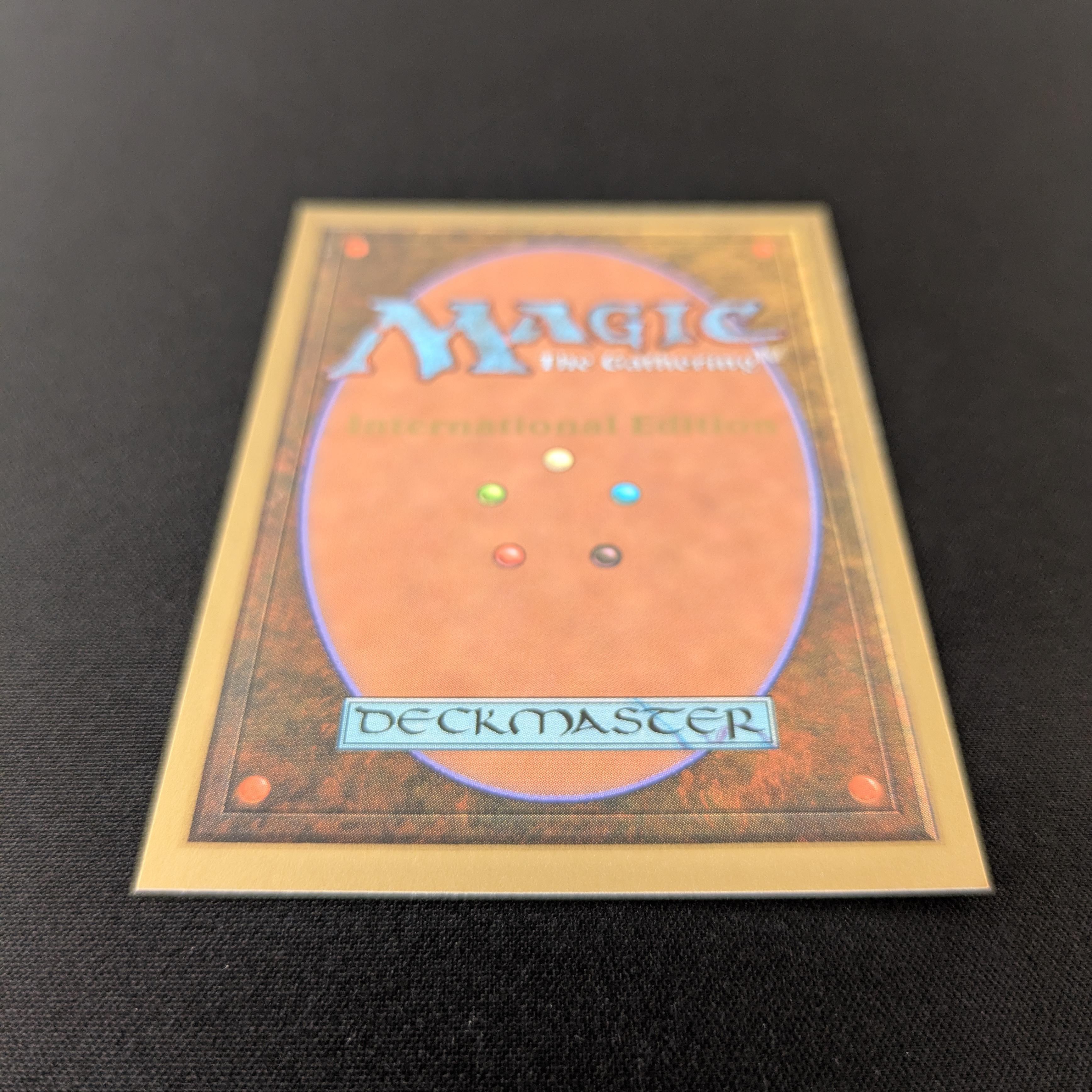 MTG Singles - Taiga - International Edition -