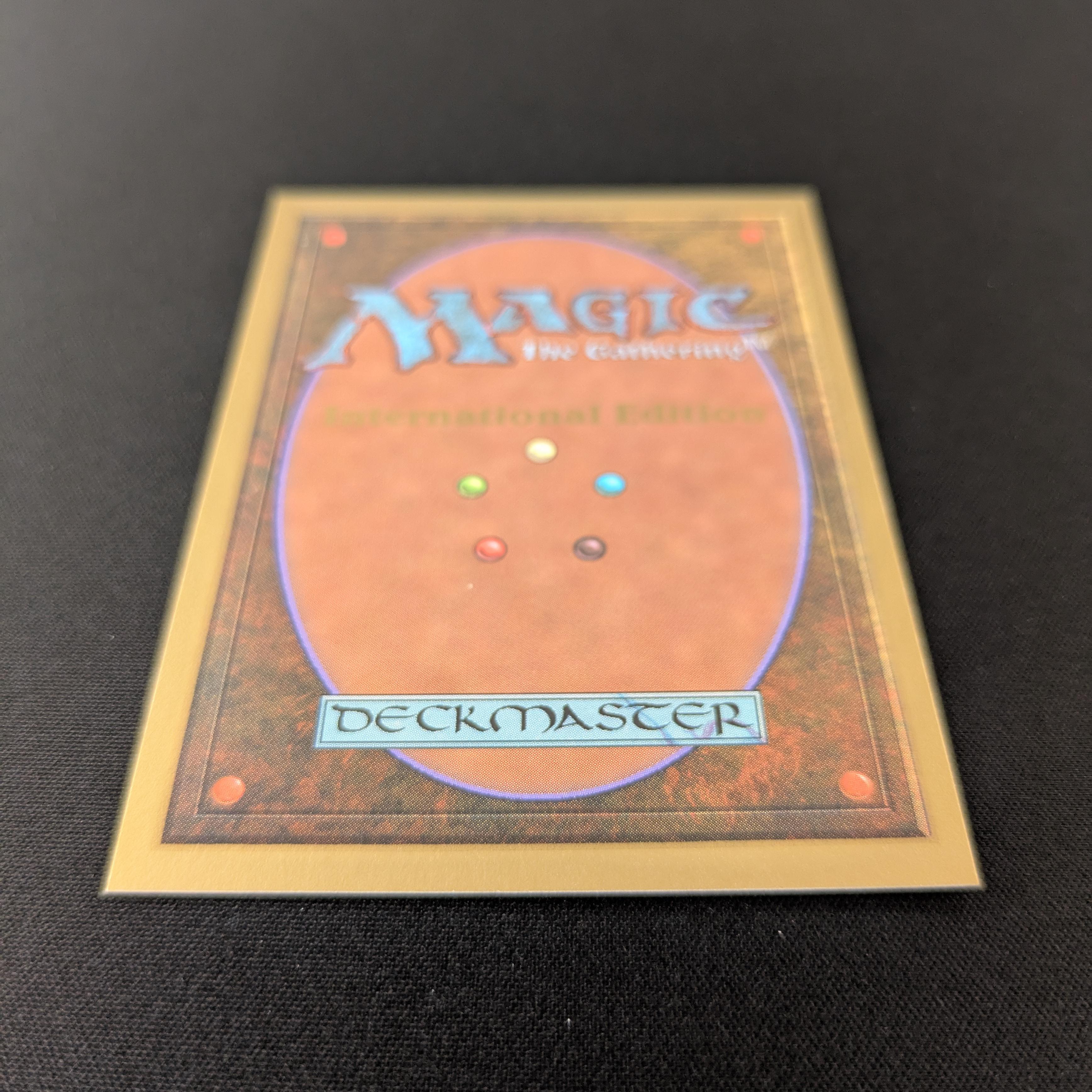 MTG Singles - Tundra - International Edition -