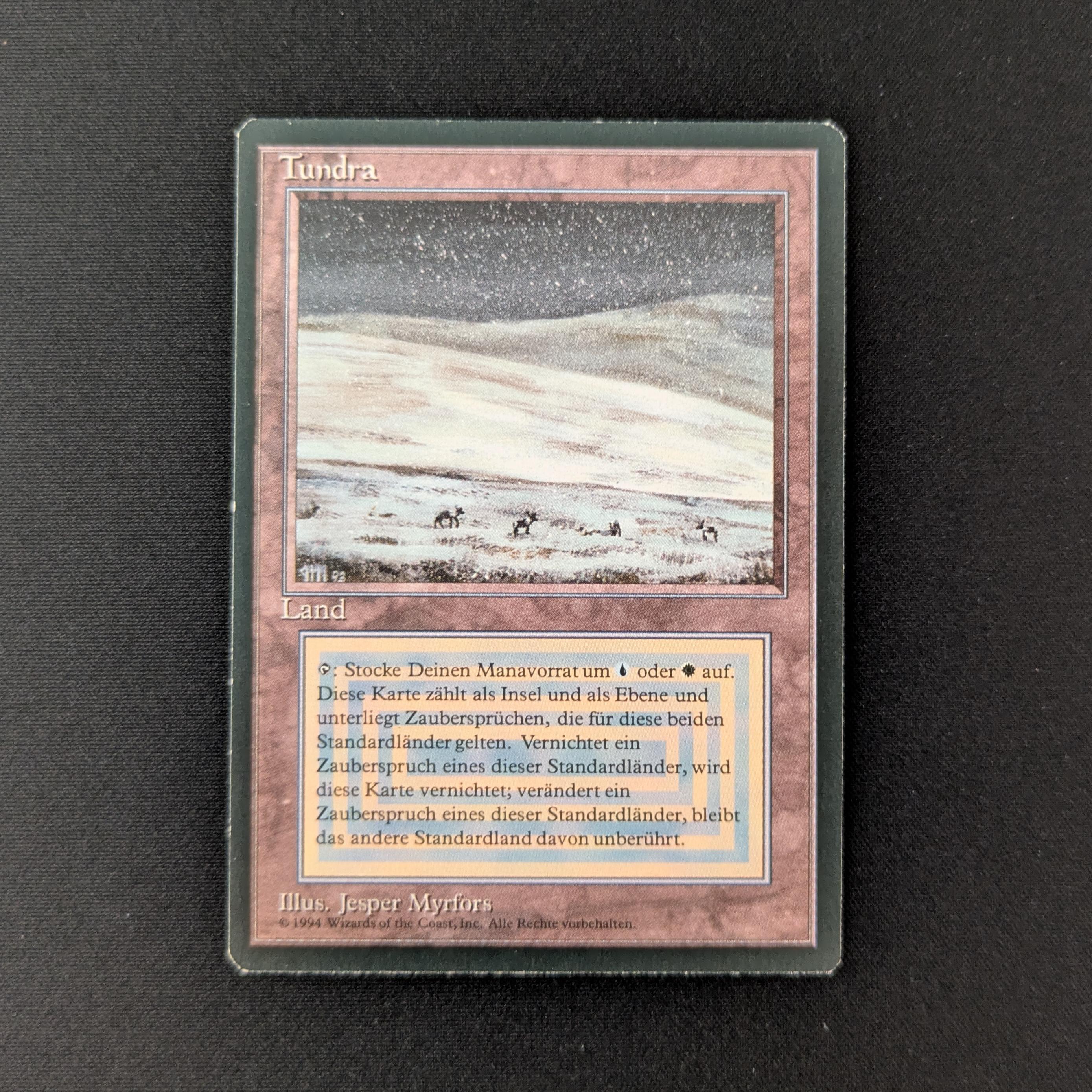 MTG Singles - Tundra - Foreign Black Bordered - German - EX - 27426