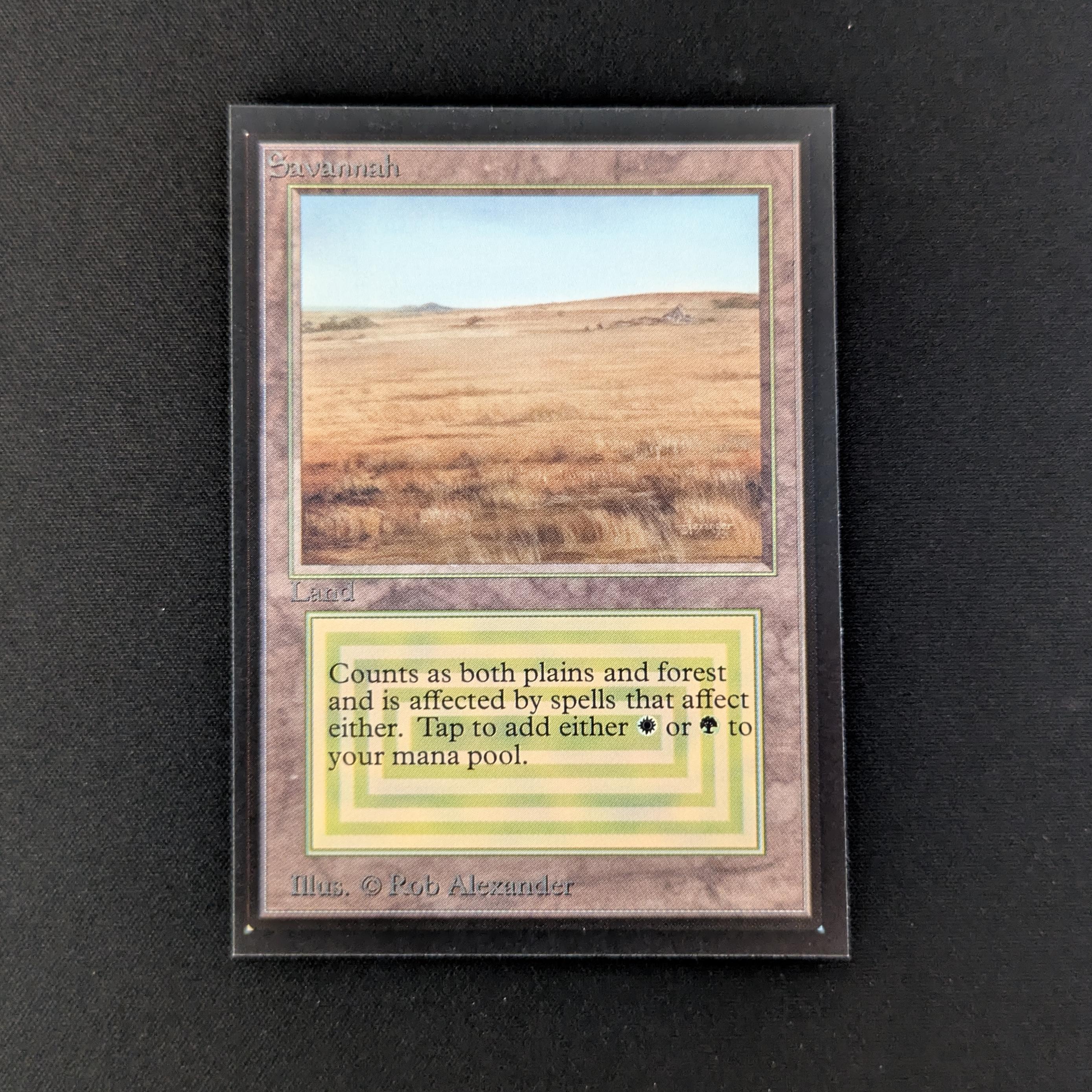 MTG Singles - Savannah - Collectors' Edition - NM - 27481