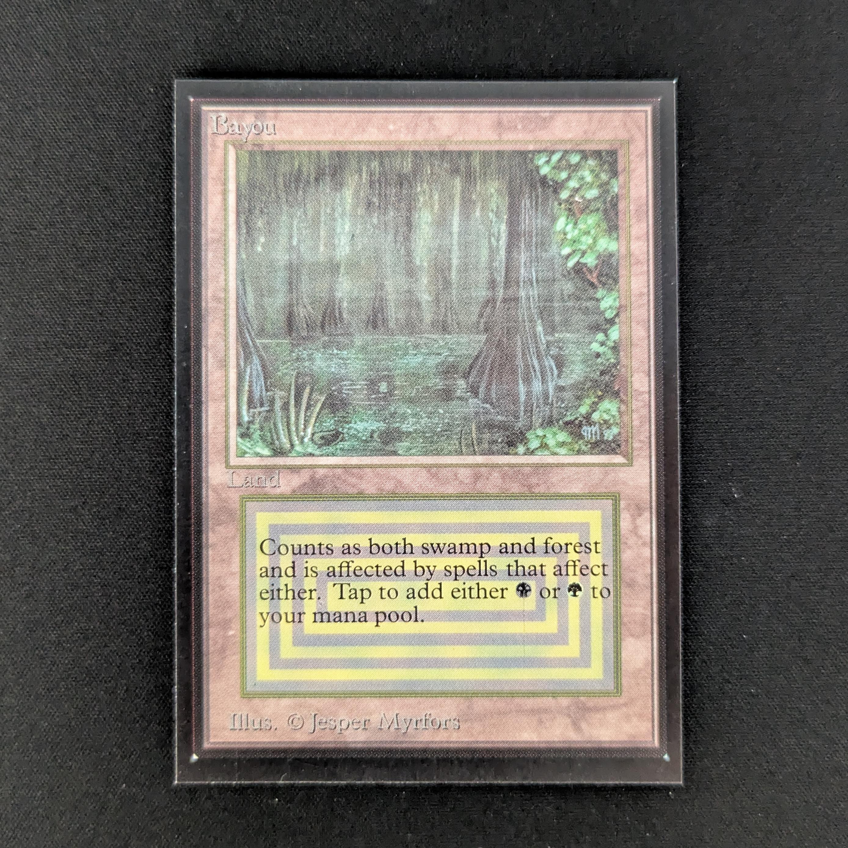 MTG Singles - Bayou - International Edition -