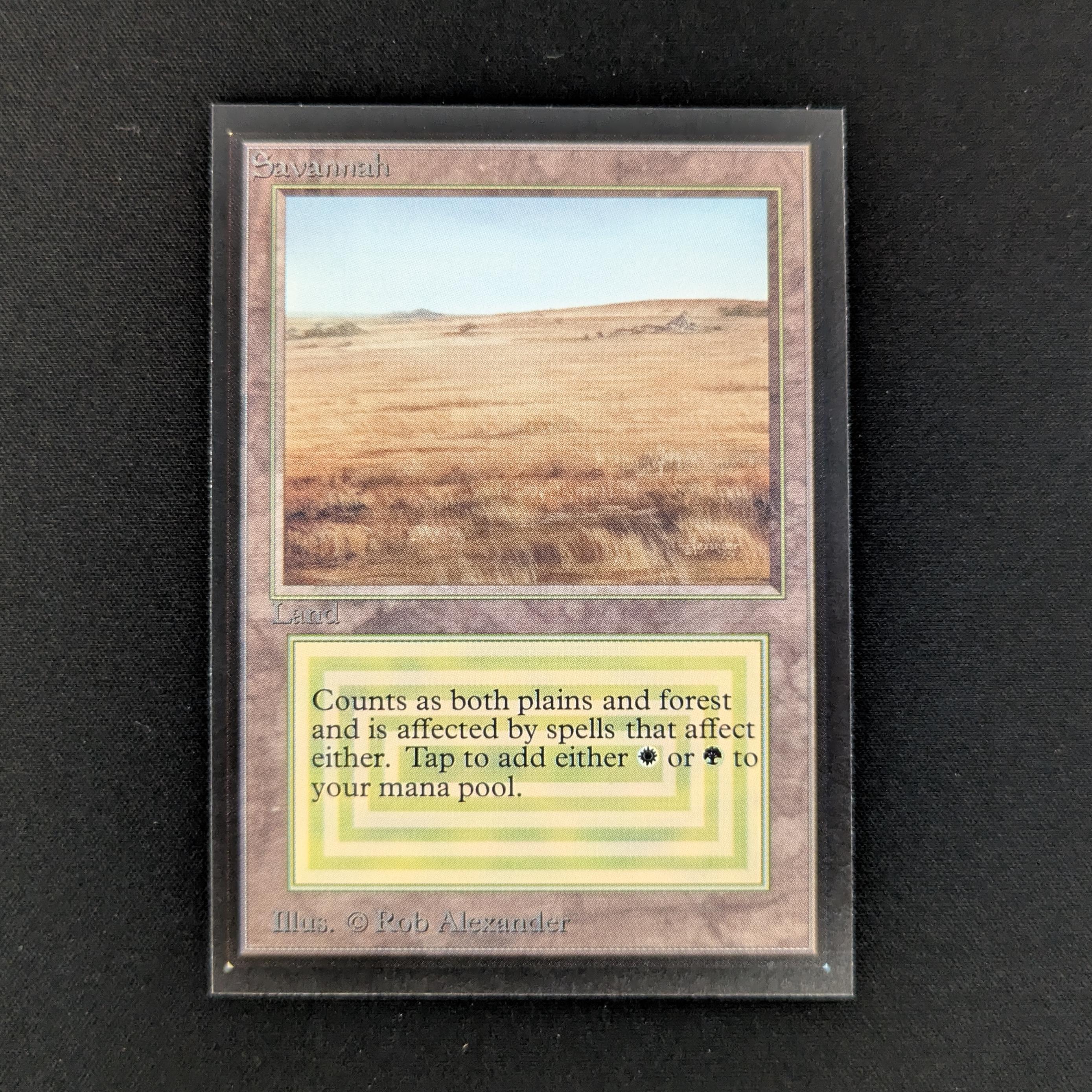 MTG Singles - Savannah - International Edition - NM - 27508