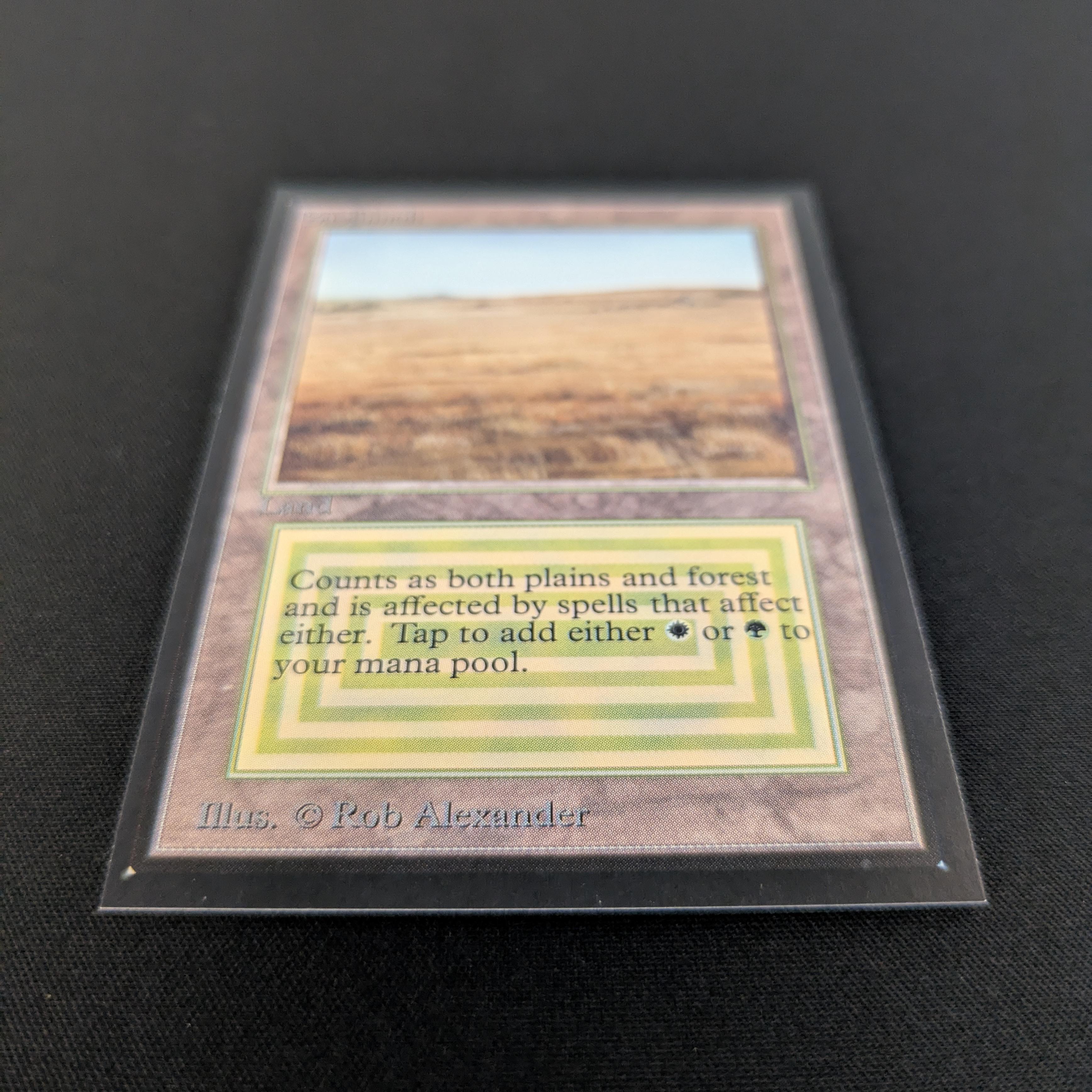 MTG Singles - Savannah - International Edition -