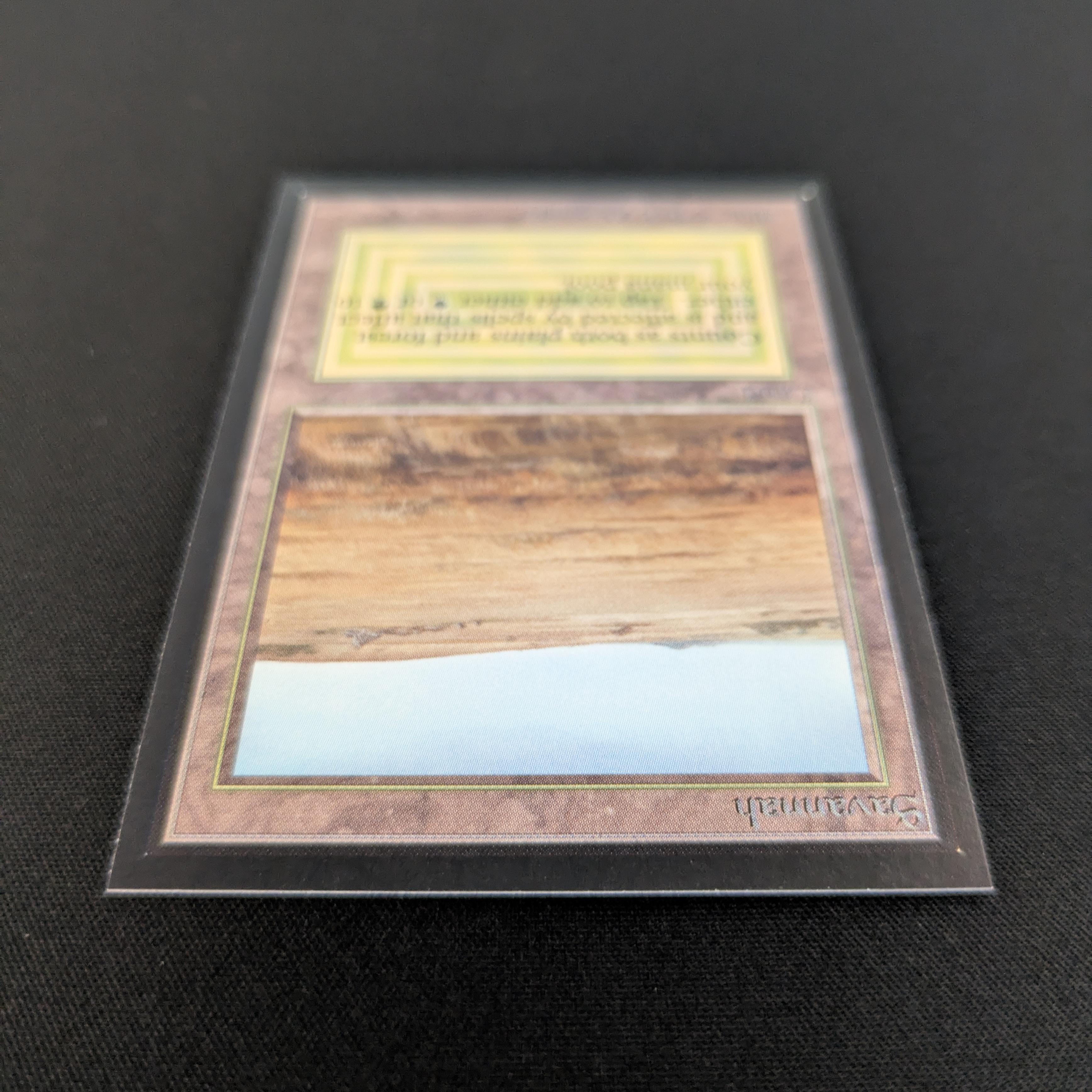 MTG Singles - Savannah - International Edition -