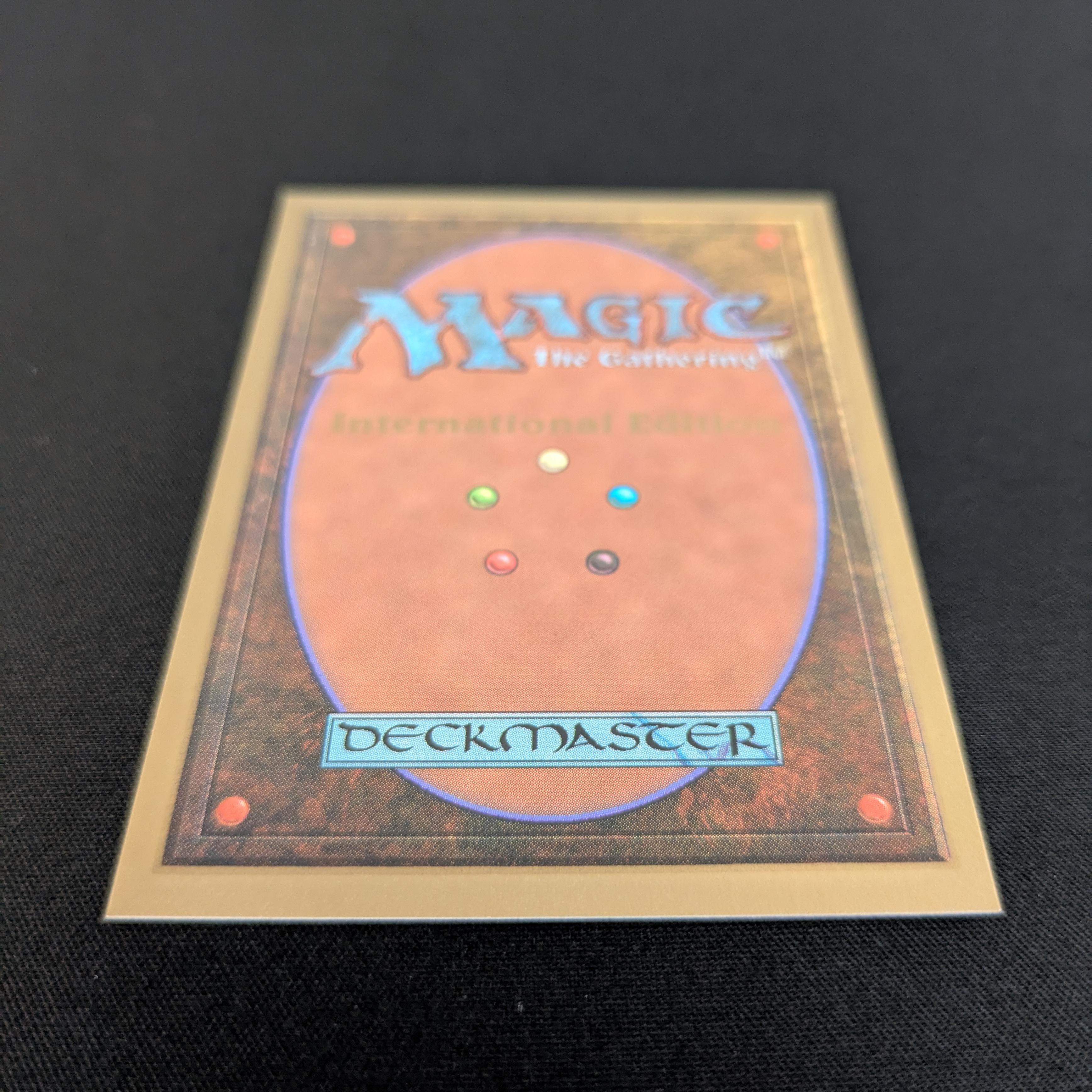 MTG Singles - Savannah - International Edition -